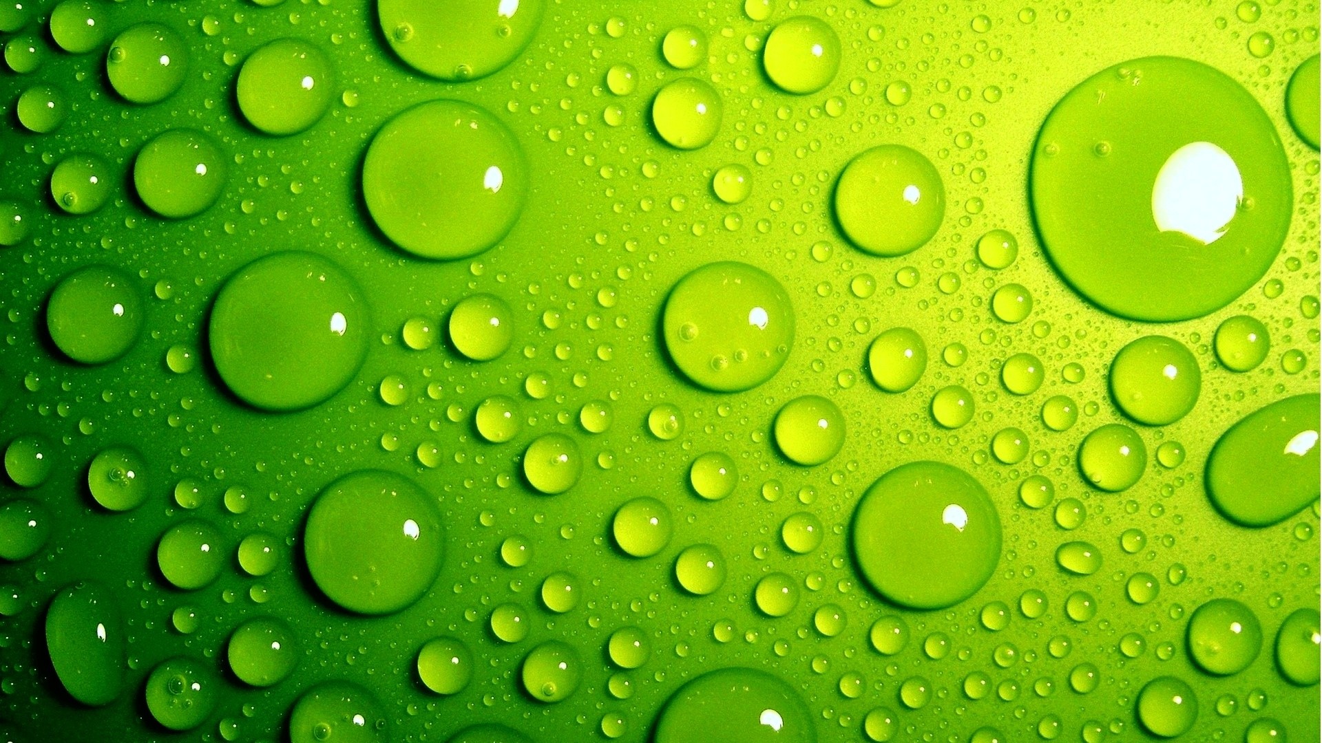Lime green water drops on a textured surface HD Wallpaper