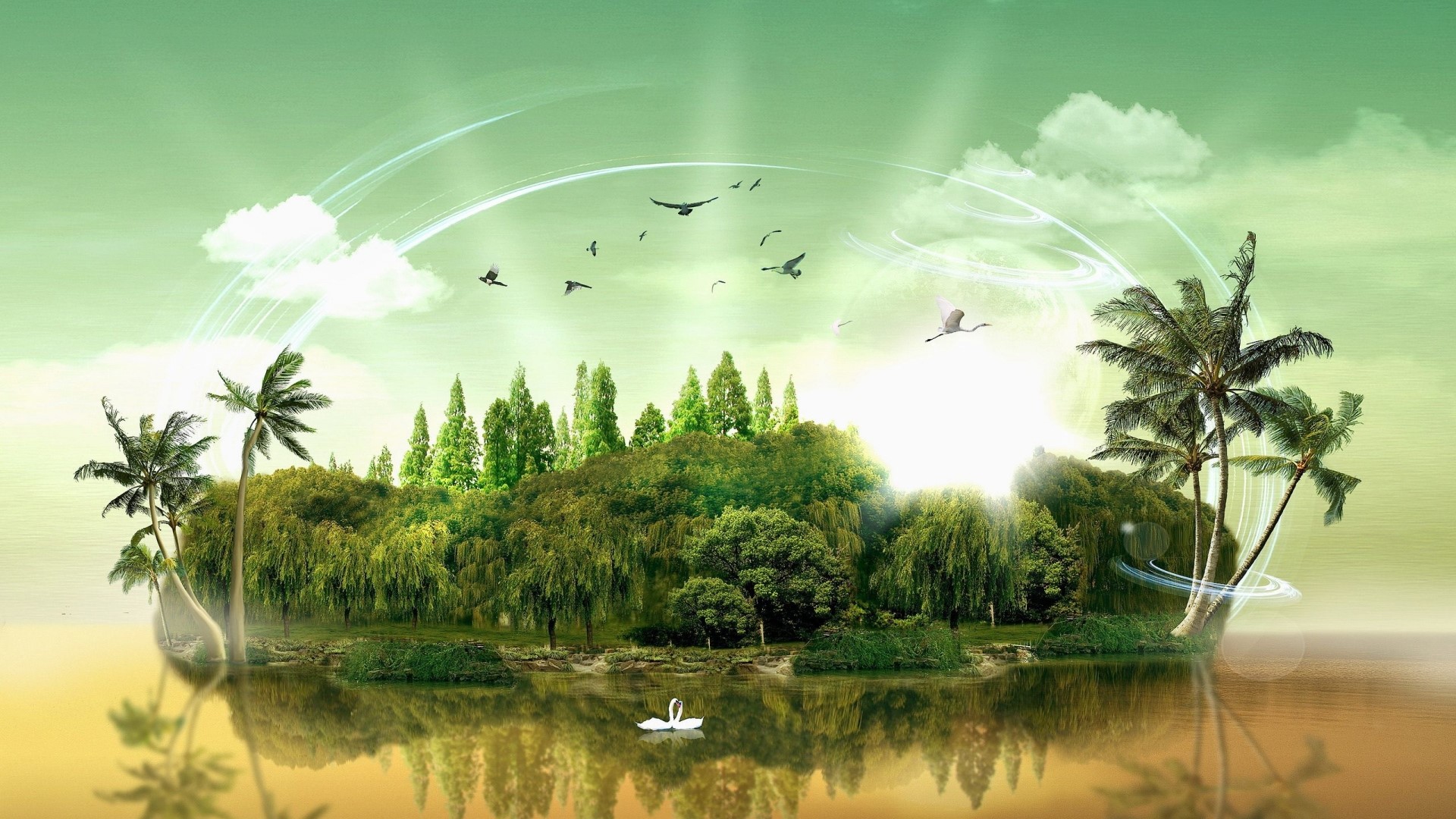 Green island with palm trees and birds HD Wallpaper