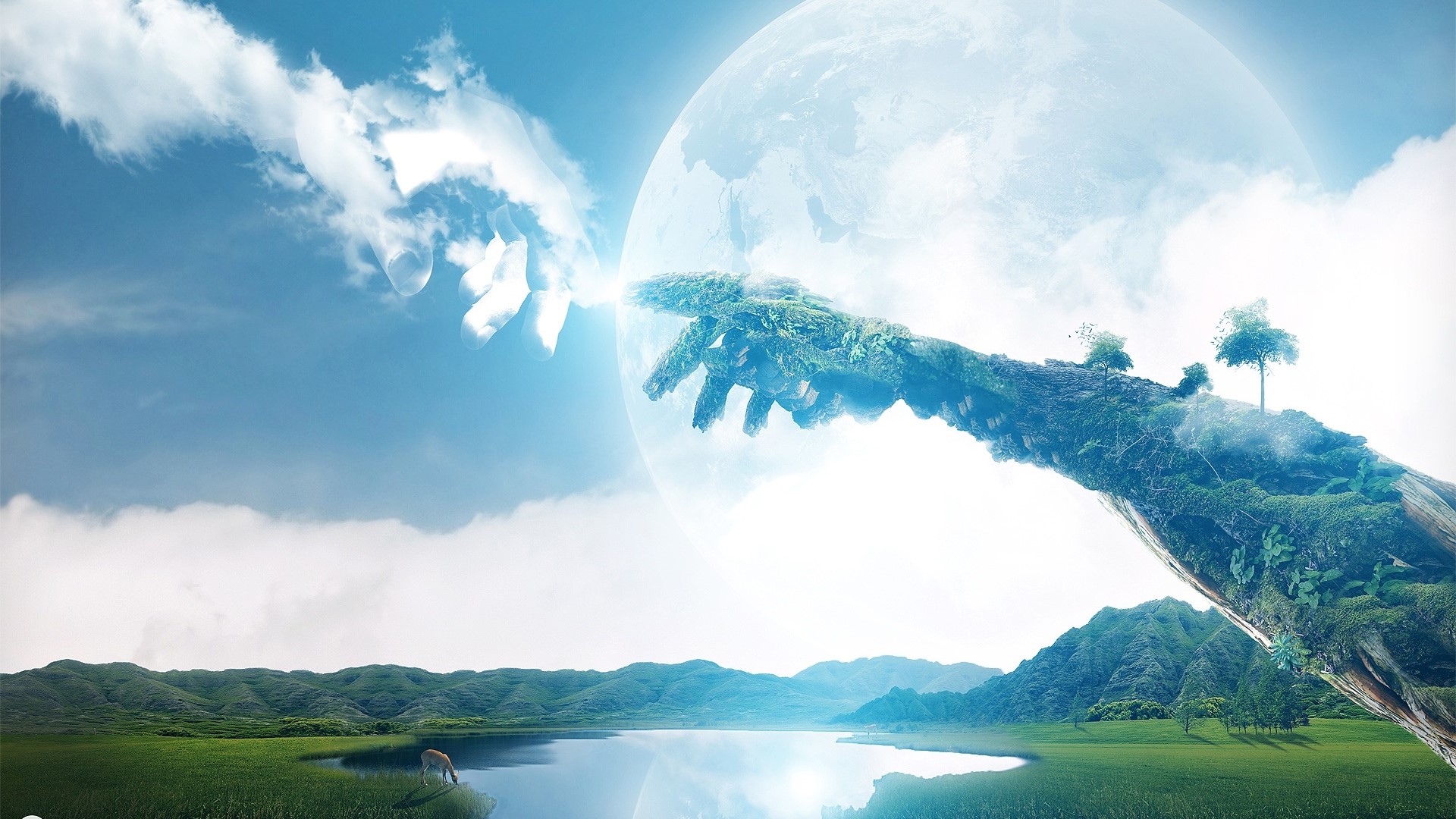 Nature's Creation of Life HD Wallpaper