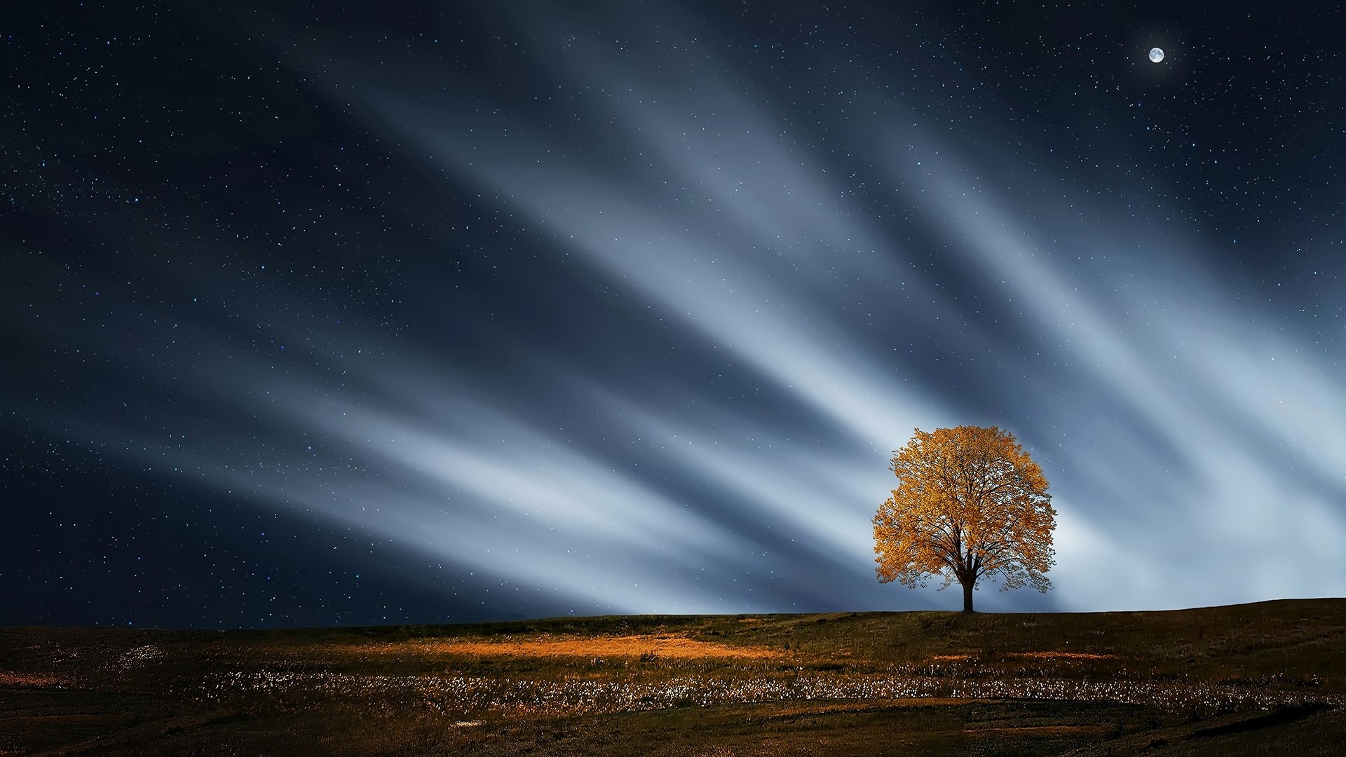 Tree under starry sky with moon and light streaks HD Wallpaper