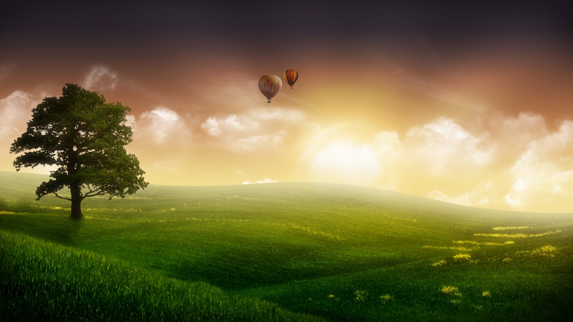 Hot air balloons over a green landscape at sunset HD Wallpaper