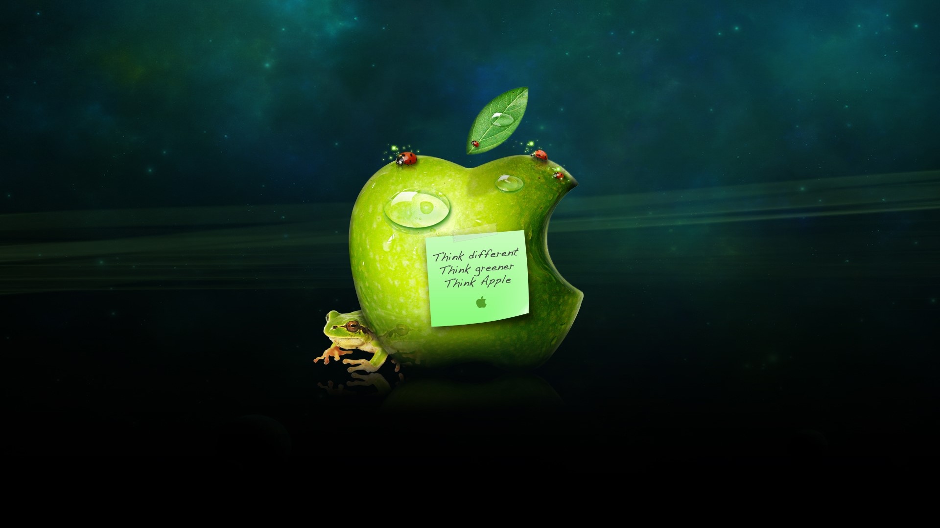 Apple logo with frog and ladybugs HD Wallpaper