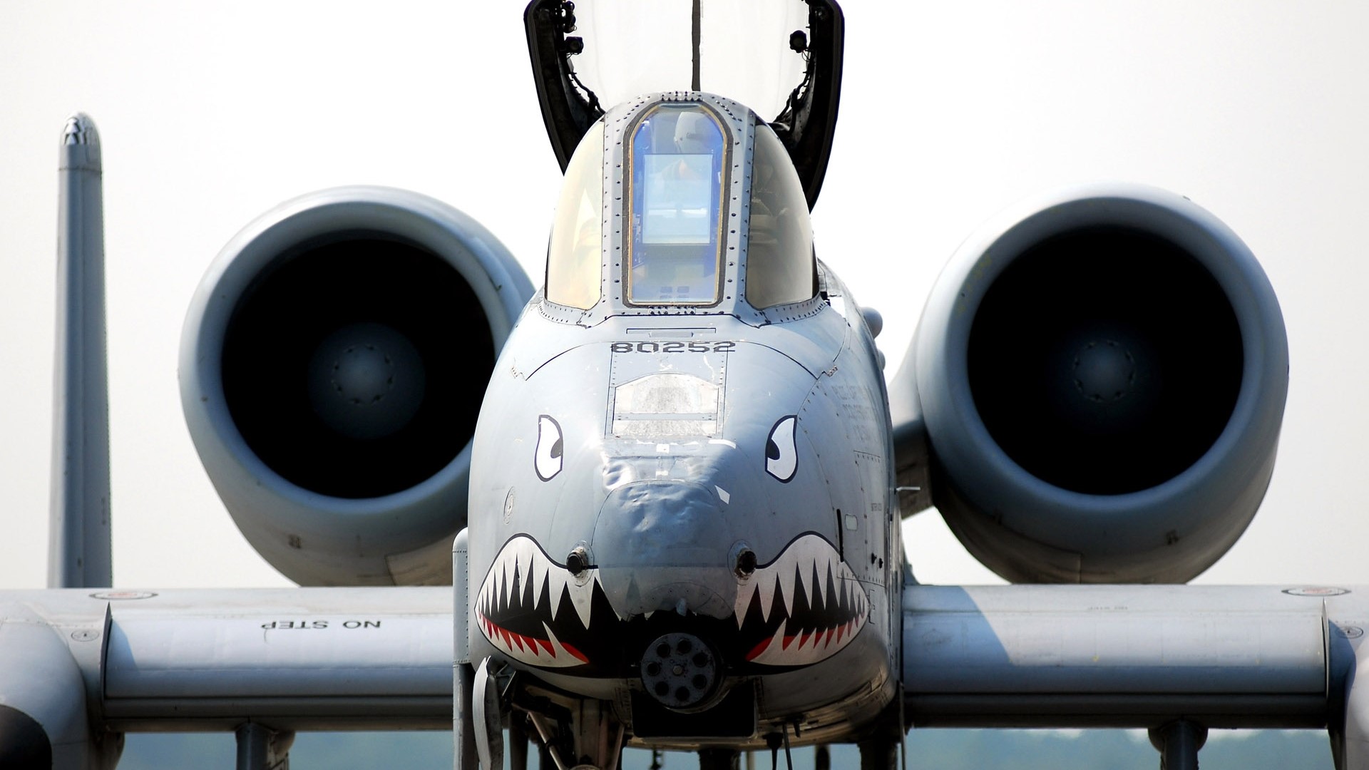 A-10 Thunderbolt II "Shark Mouth" Jet HD Wallpaper