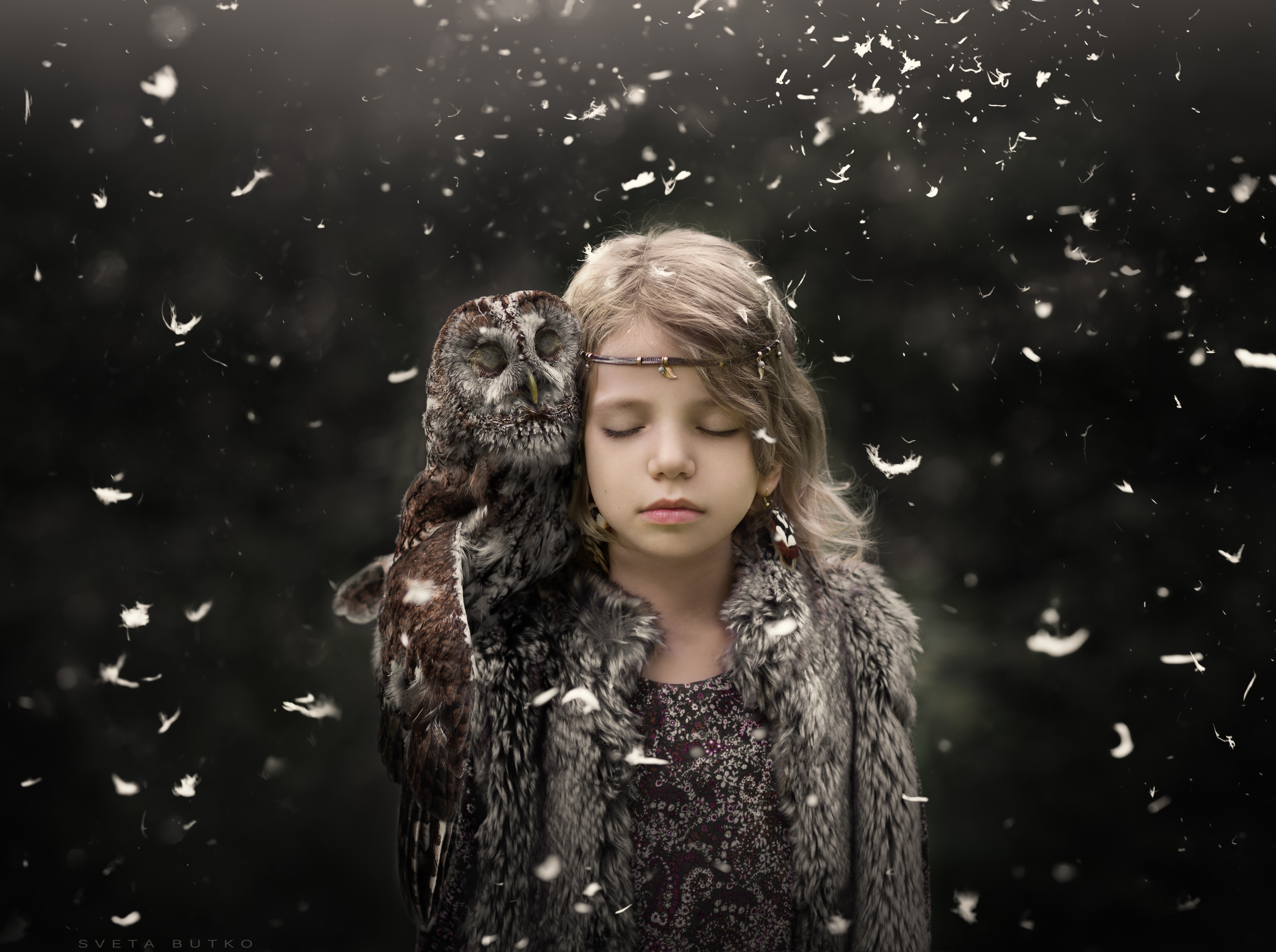 Girl with owl and feathers HD Wallpaper