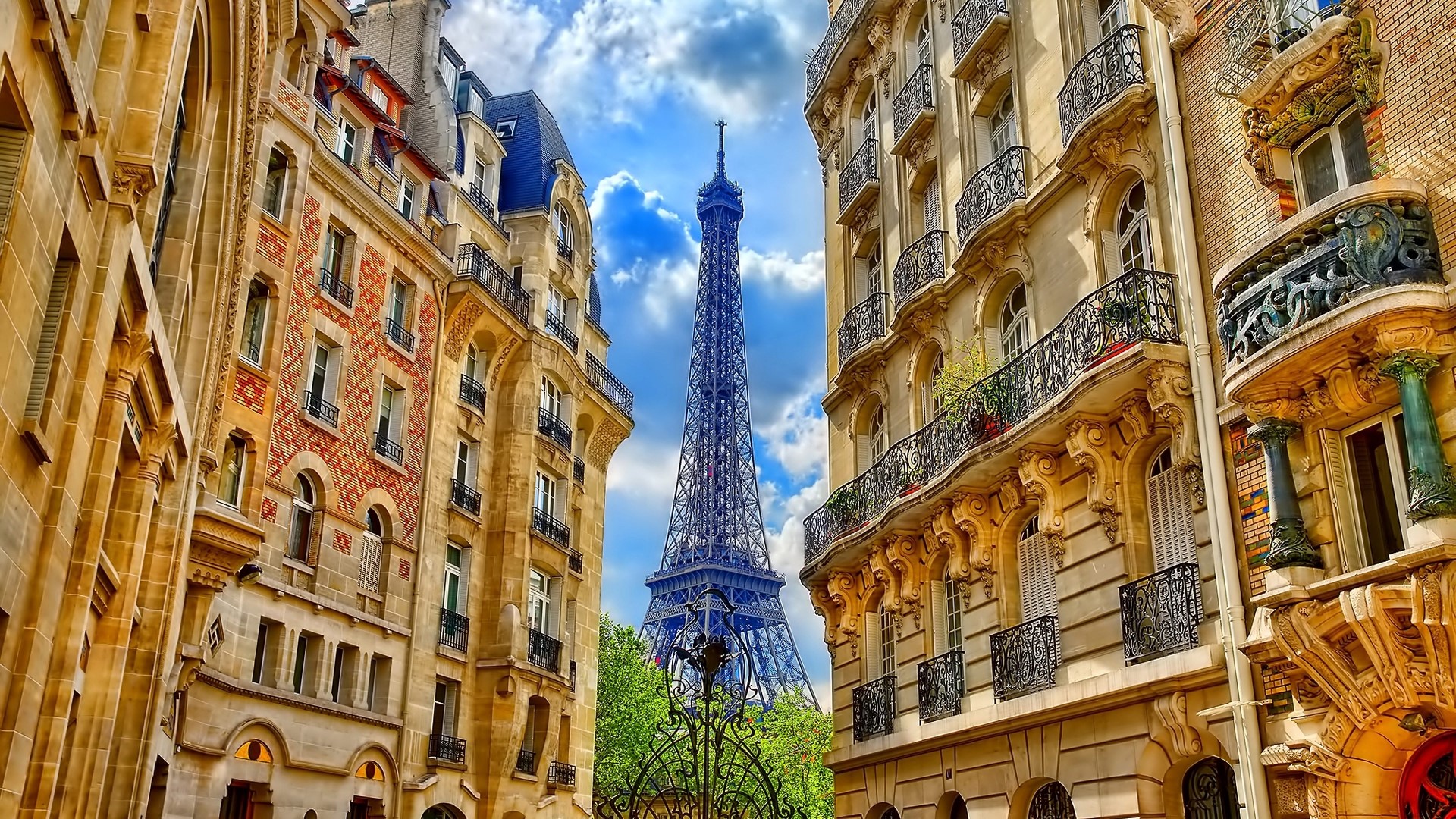 Eiffel Tower between Parisian buildings HD Wallpaper