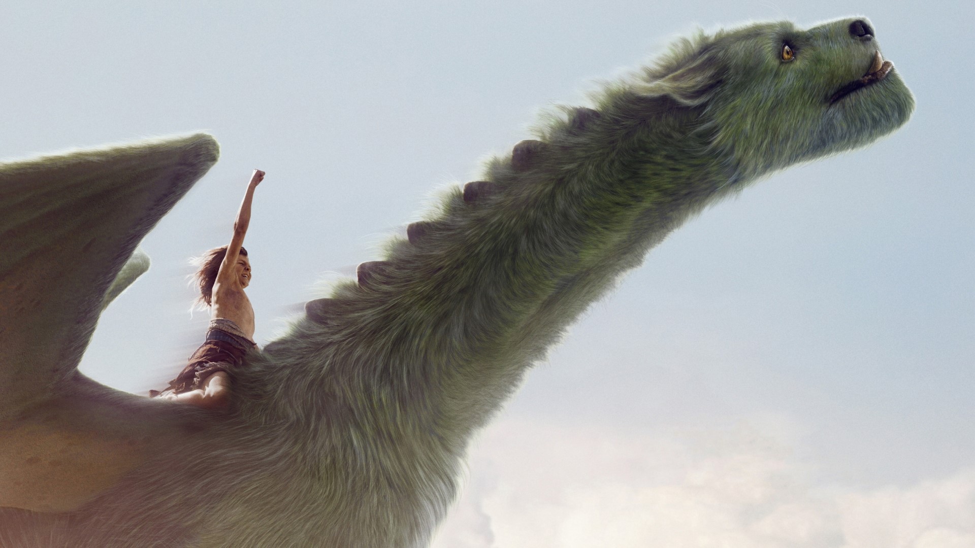 Boy riding a green dragon HD Wallpaper