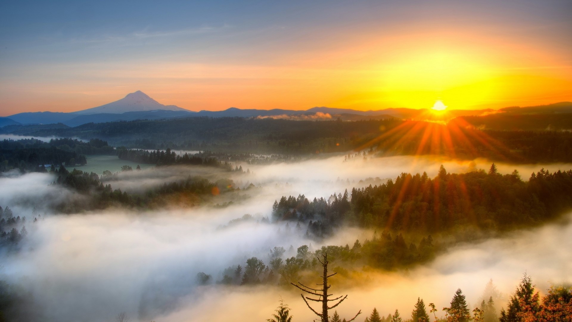 Sunrise over misty mountains and forest HD Wallpaper