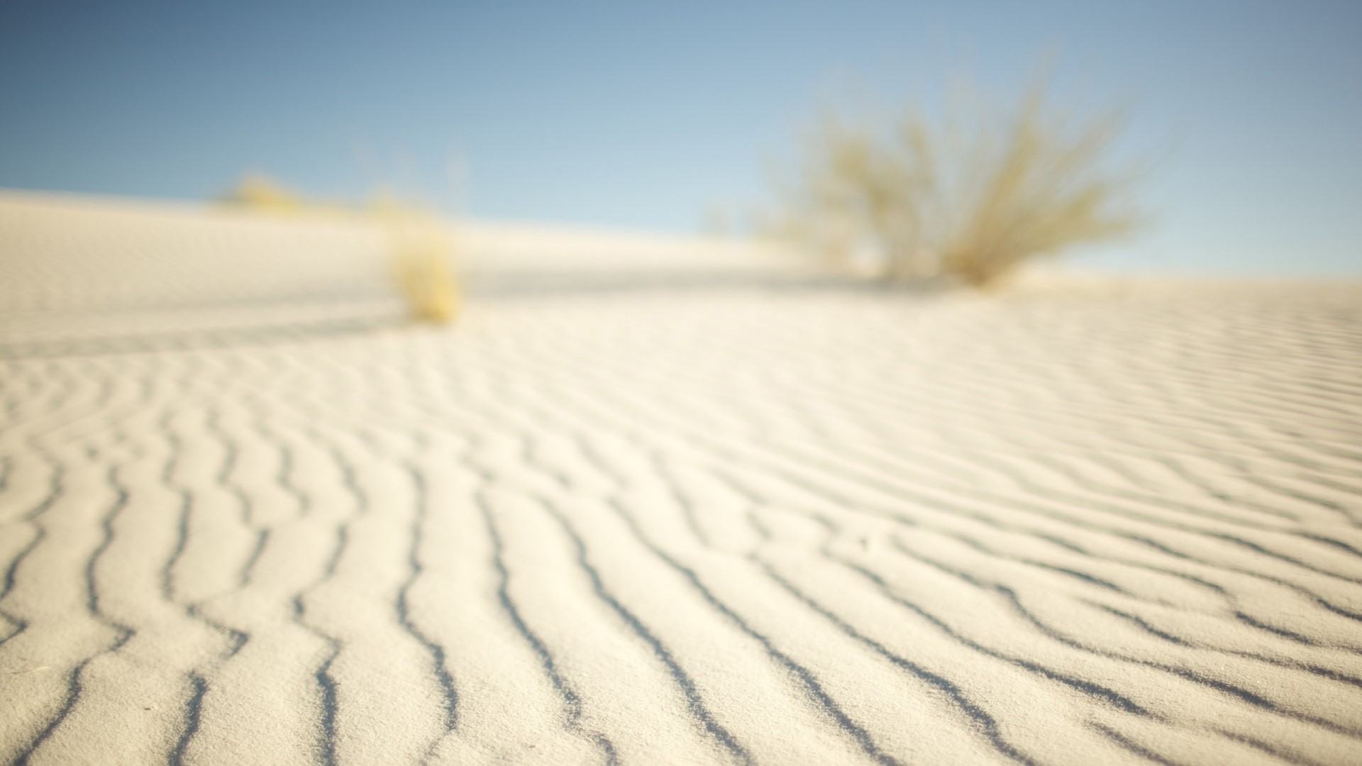 Desert sand dunes with sparse vegetation HD Wallpaper