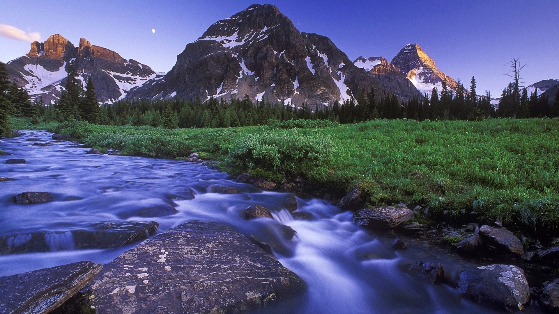 Mountain river flowing through a green field with snow-capped mountains HD Wallpaper
