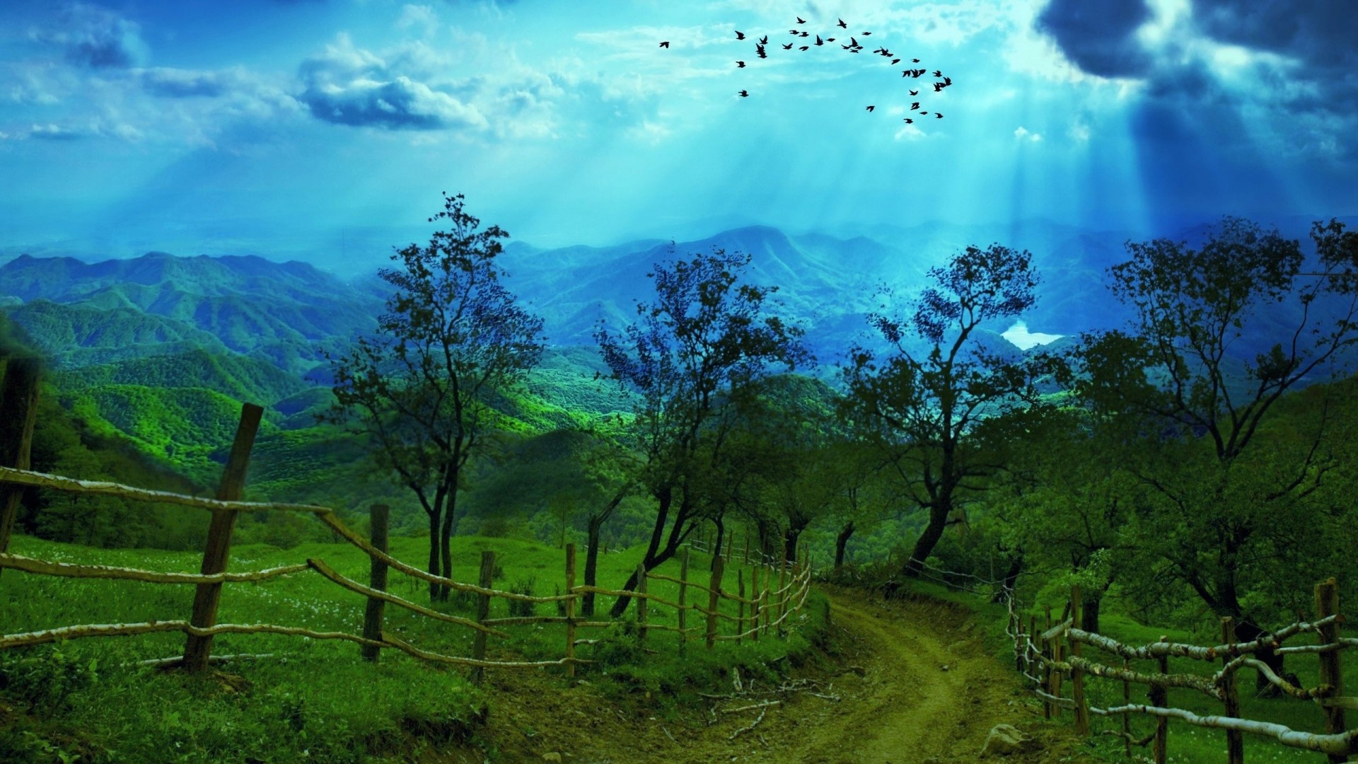 Green Mountains with Birds and Sunbeams HD Wallpaper
