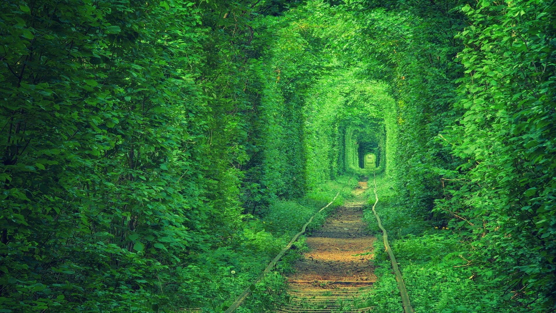 Tunnel of Love, Ukraine HD Wallpaper