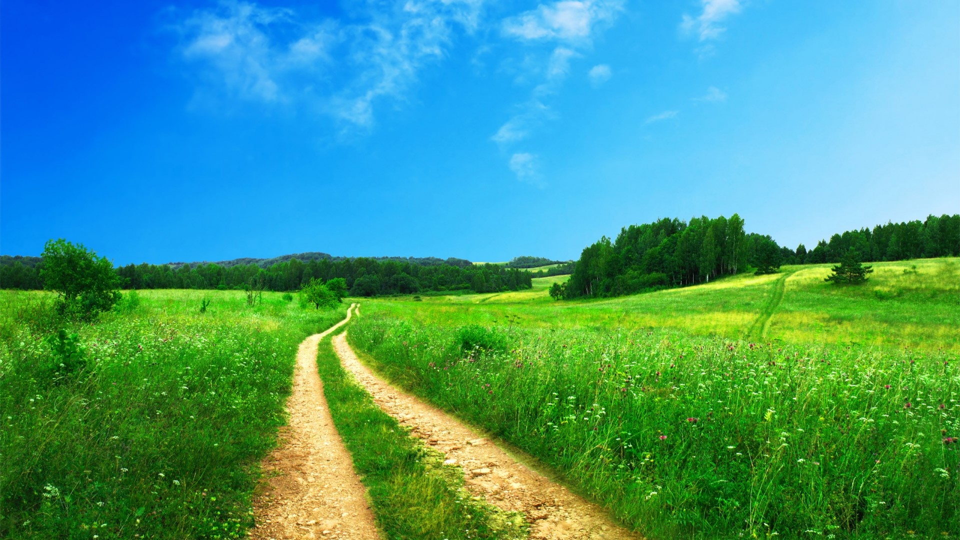 Dirt road through a green meadow under a blue sky HD Wallpaper