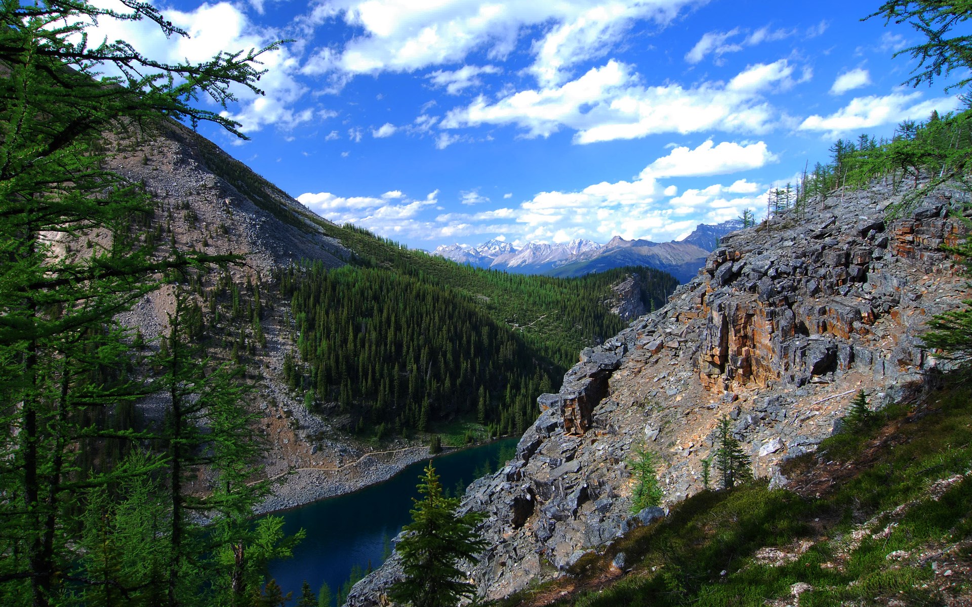 Mountain lake surrounded by pine forest and rocky slopes HD Wallpaper