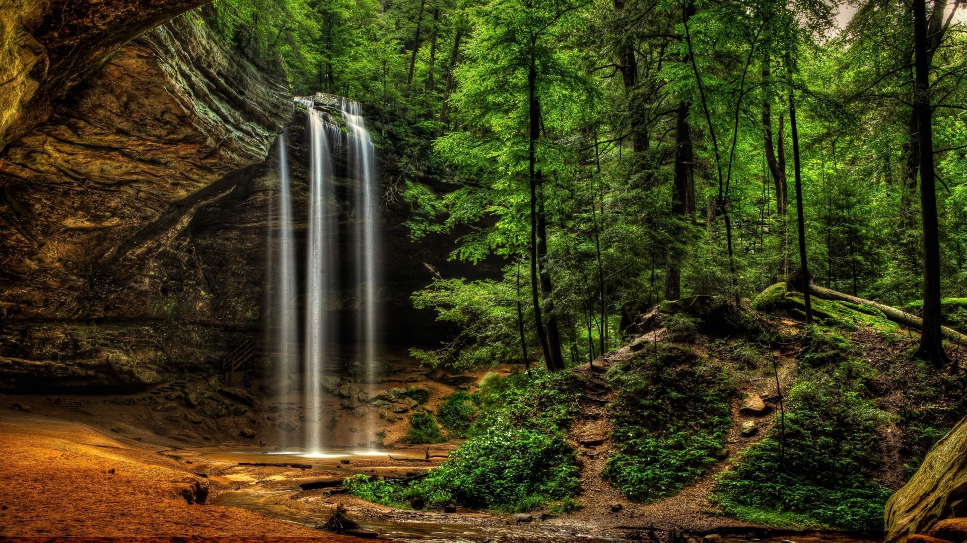 Waterfall in a lush green forest cave HD Wallpaper