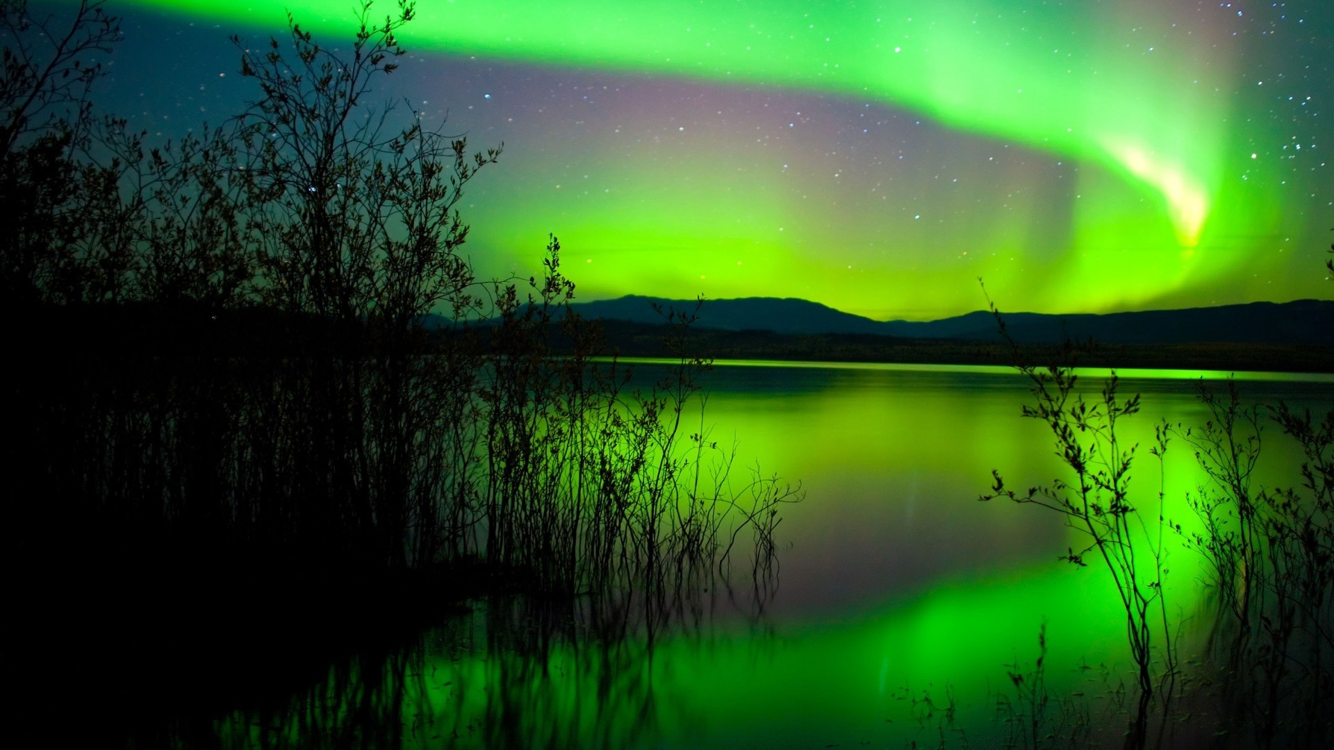 Green Northern Lights over a lake HD Wallpaper