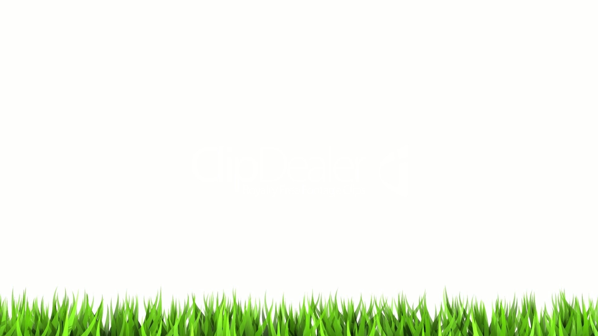 Green grass on a white background HD Wallpaper