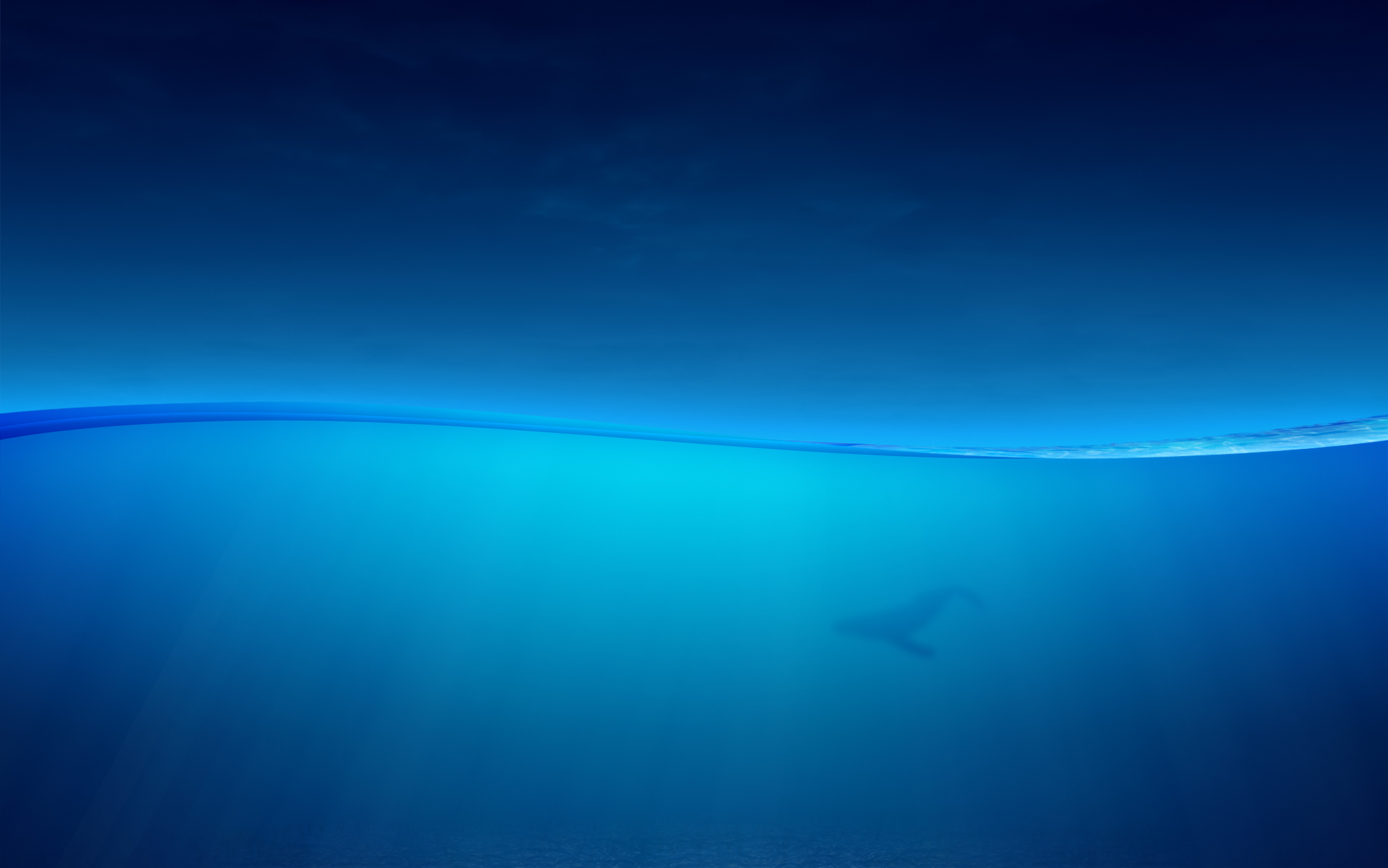 Underwater scene with a whale swimming HD Wallpaper