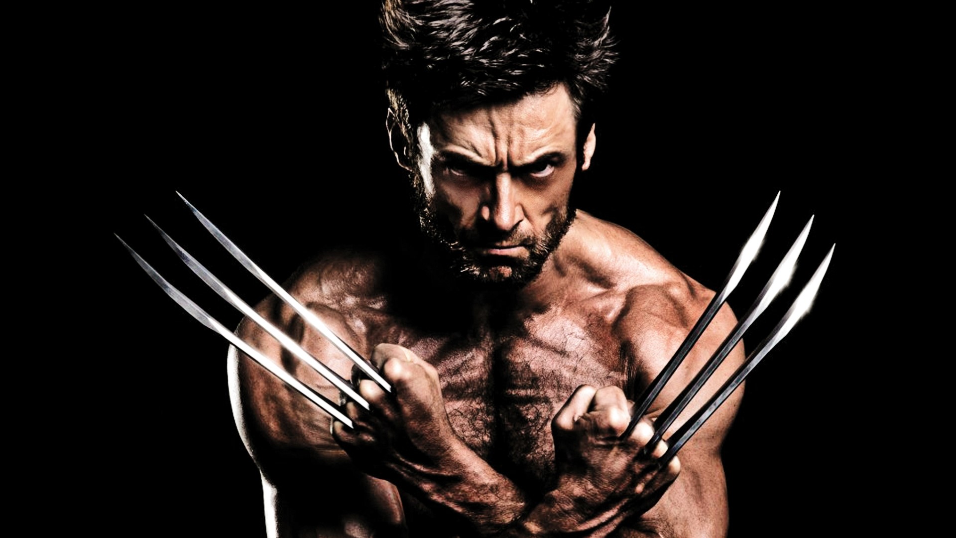 Wolverine with Adamantium Claws HD Wallpaper