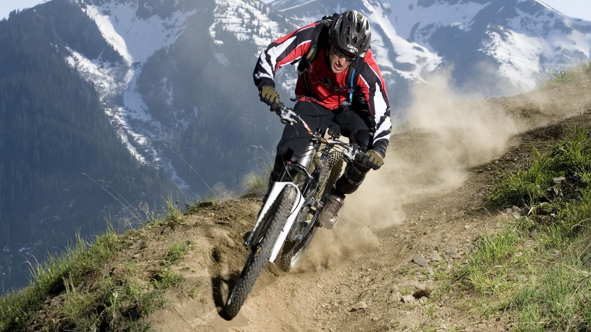Mountain biker riding downhill on a dirt path HD Wallpaper