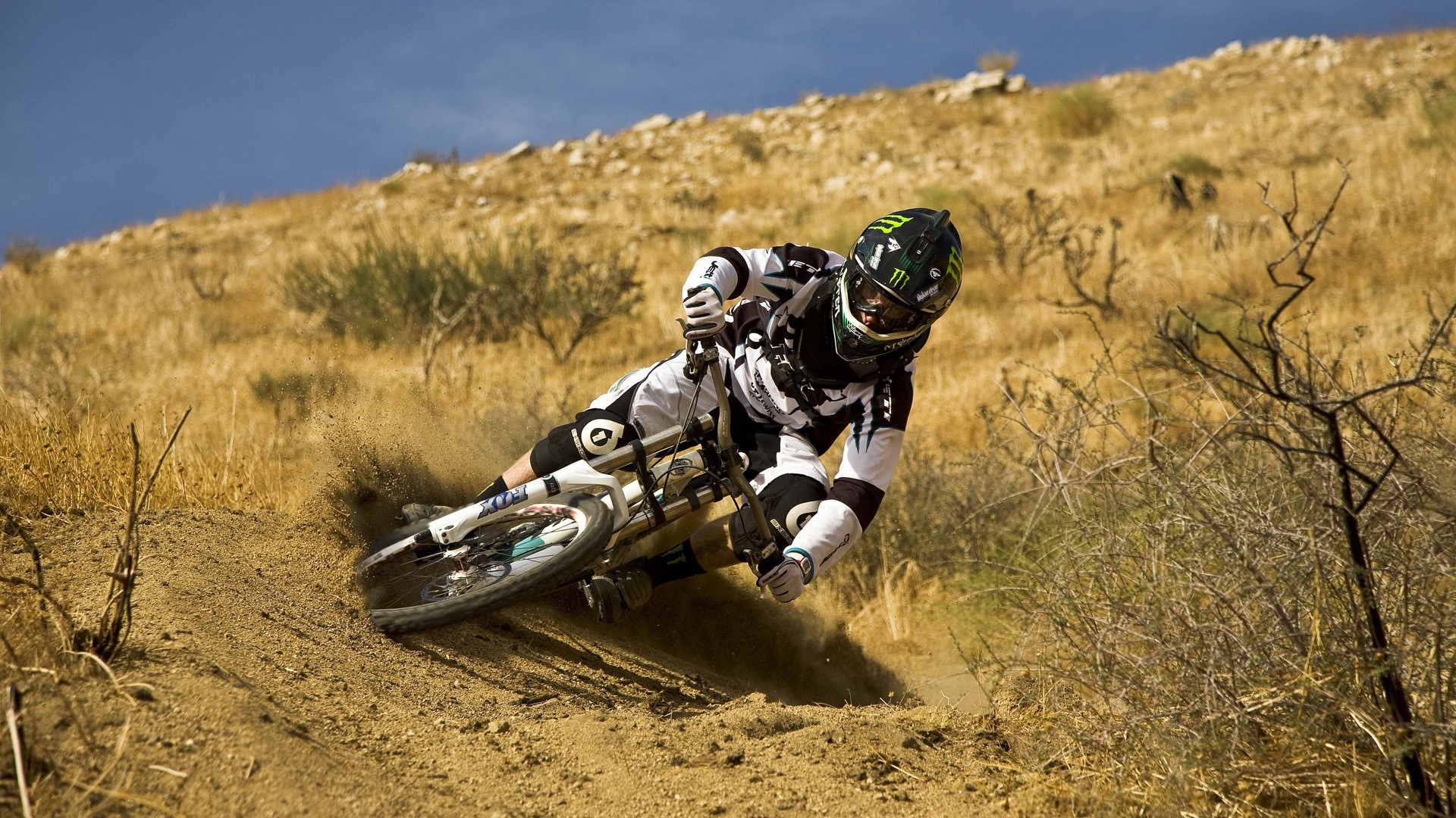 Mountain biker in full gear riding downhill HD Wallpaper