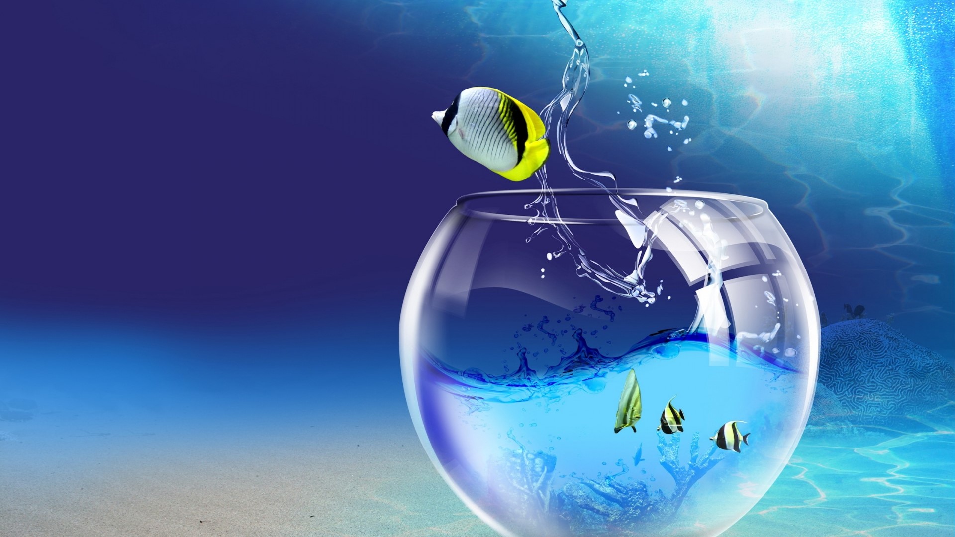 Fish Jumping Out of Fishbowl HD Wallpaper