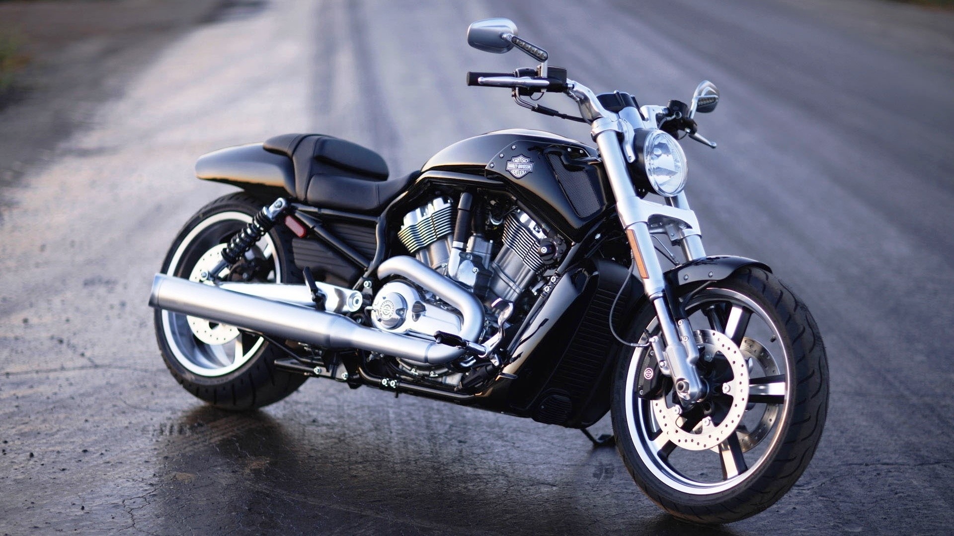 Harley-Davidson V-Rod Muscle Motorcycle HD Wallpaper