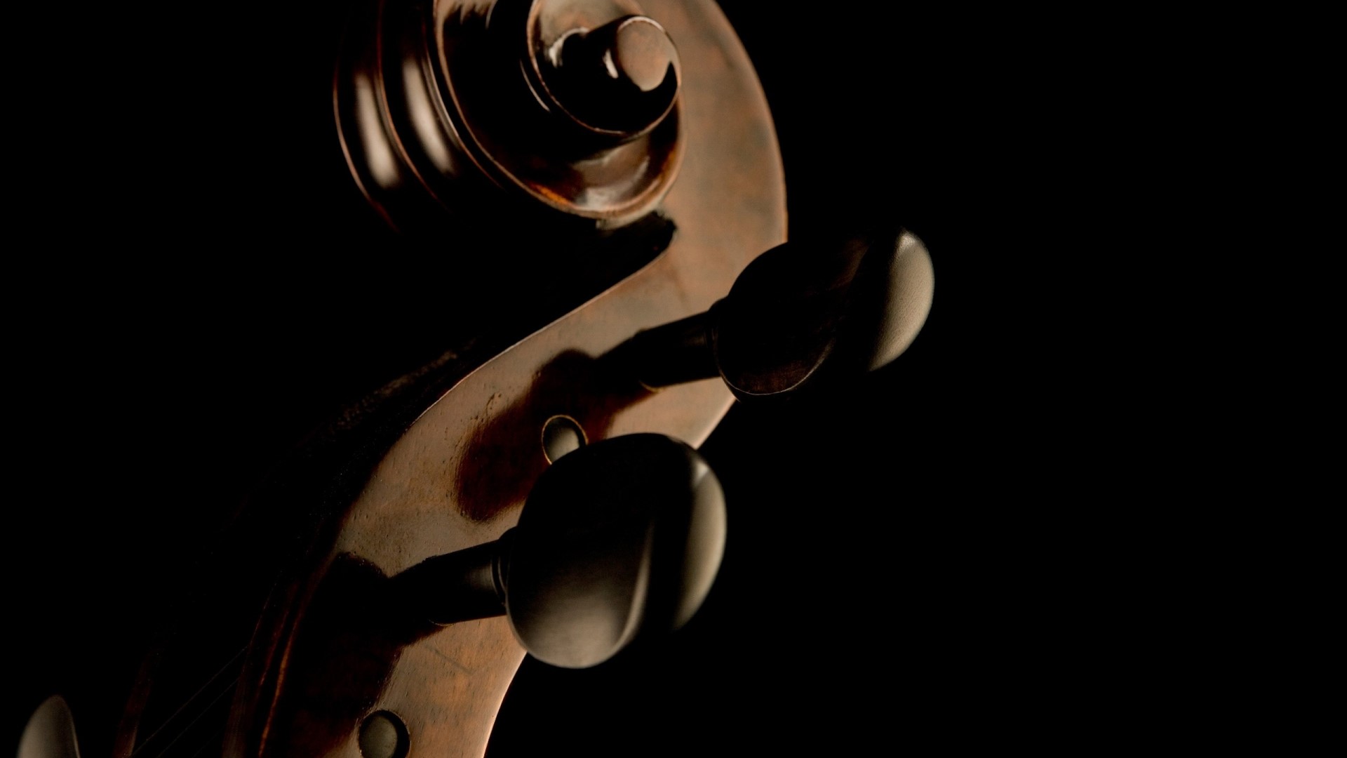 Close-up of a Violin Scroll and Pegs HD Wallpaper