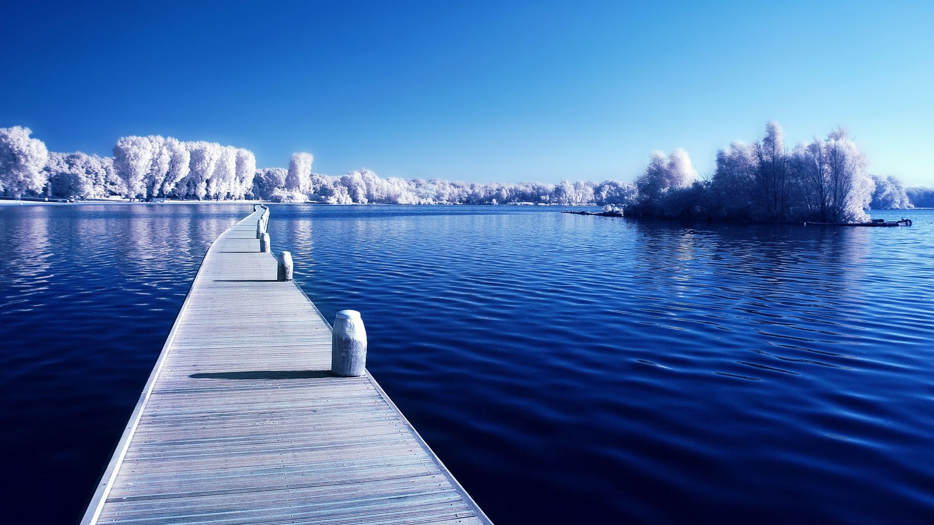 Wooden pier on a blue lake with white trees HD Wallpaper