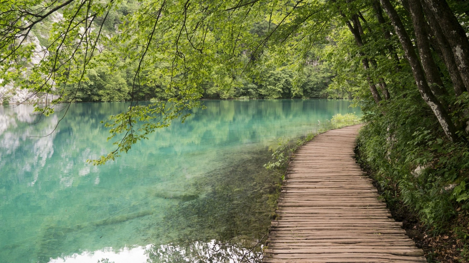 Wooden path along a turquoise lake in a forest HD Wallpaper