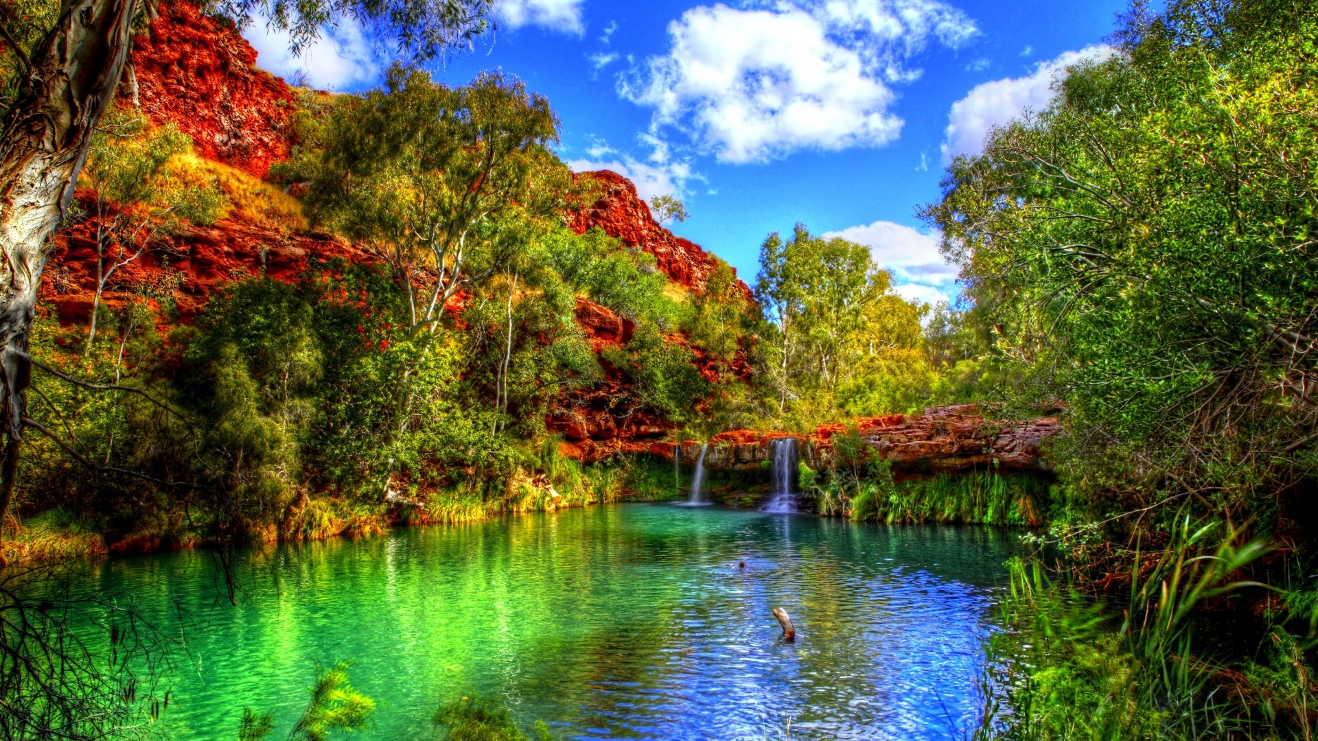 Red rock canyon with a turquoise pool and waterfalls HD Wallpaper