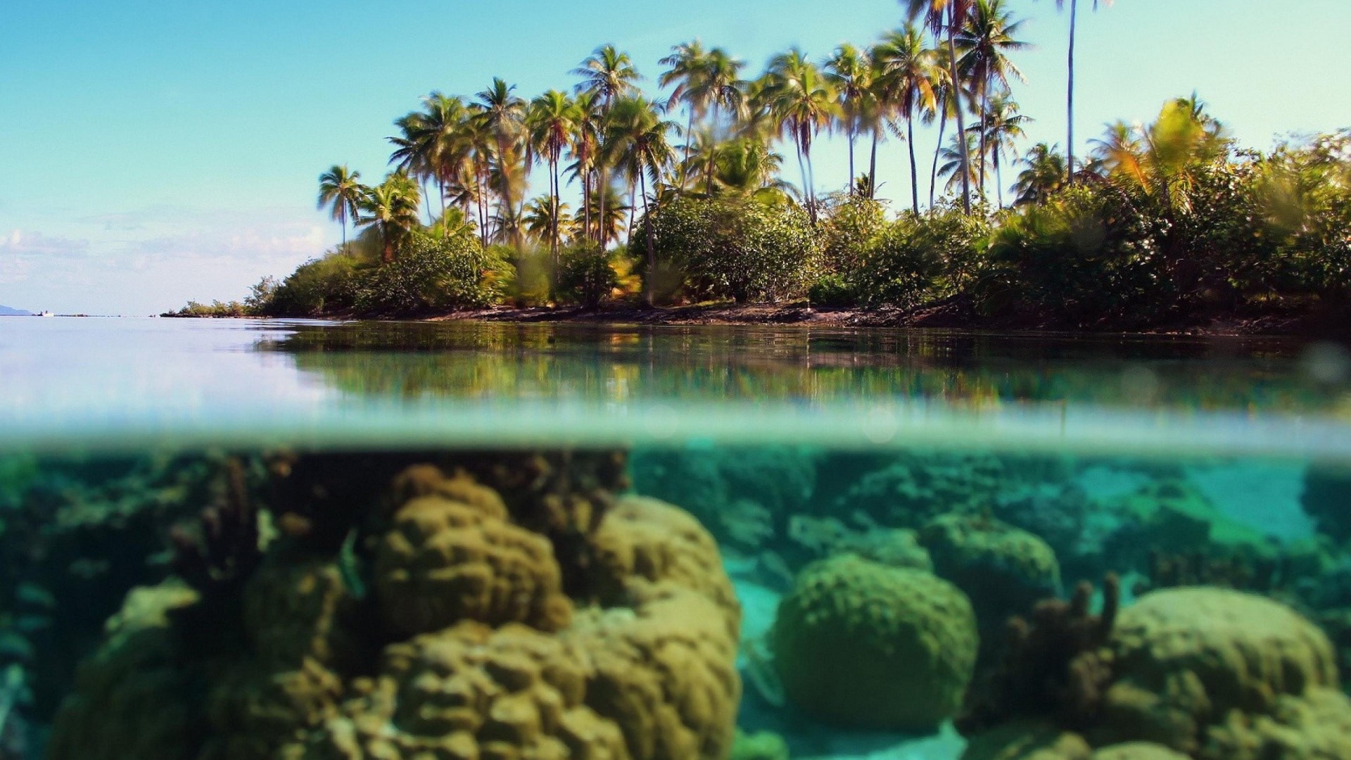 Split view of tropical island and coral reef HD Wallpaper