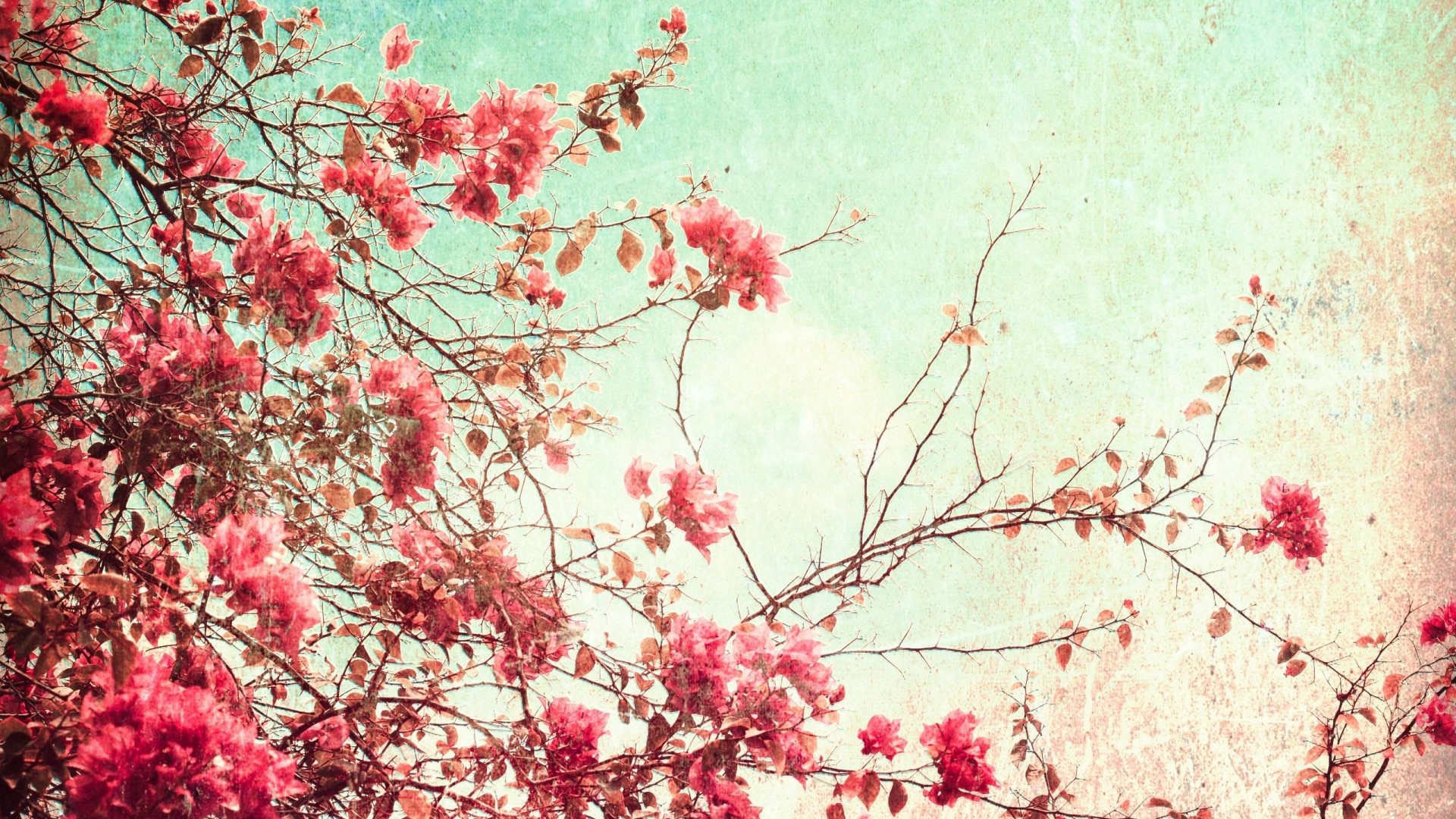 Vintage floral branches with pink flowers HD Wallpaper