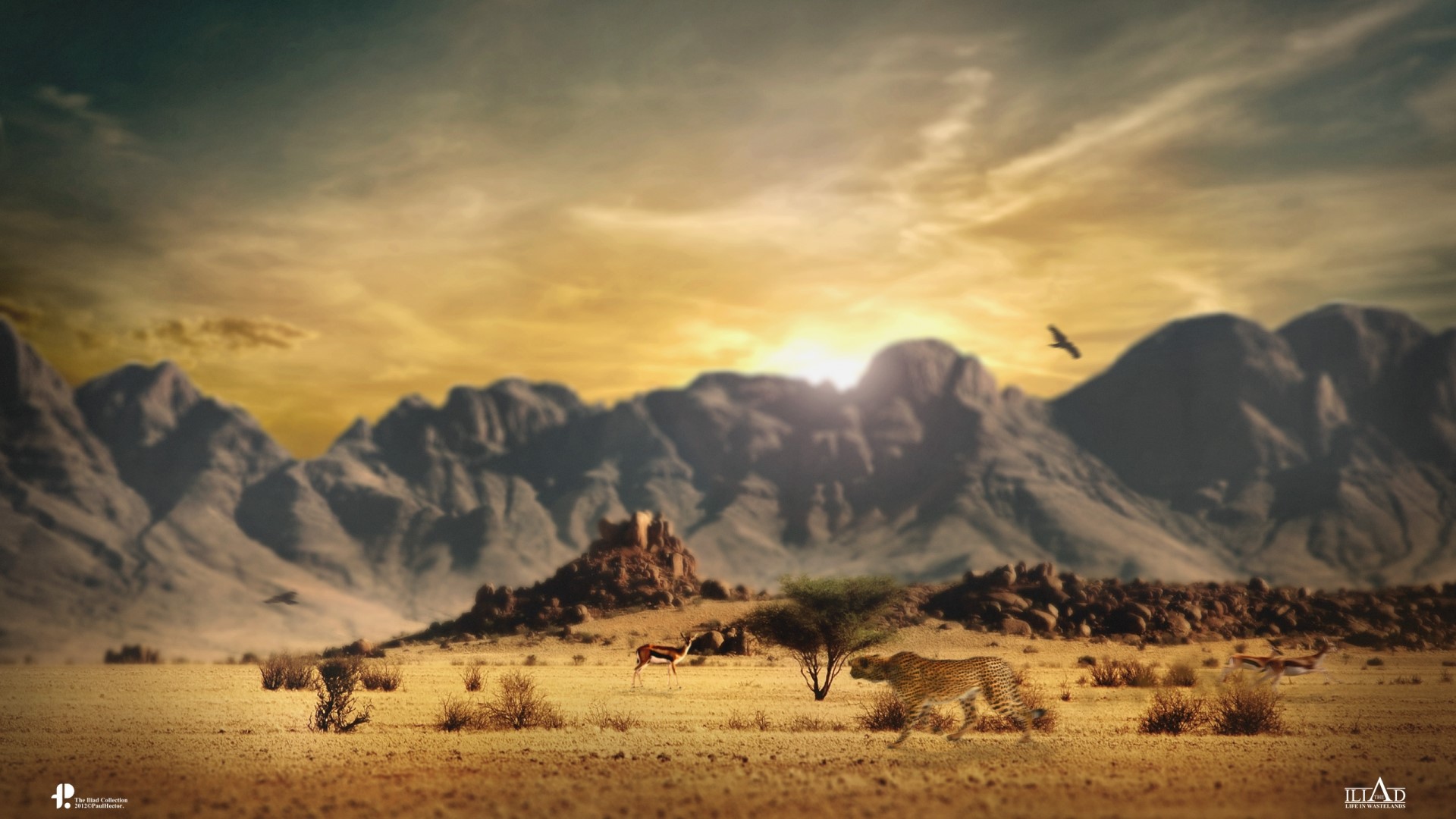 Cheetah and gazelle in a desert landscape with mountains HD Wallpaper