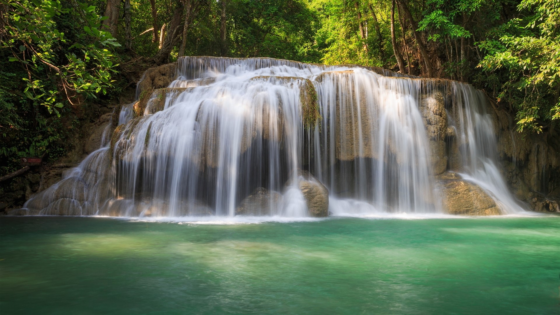 Waterfall in a lush green forest HD Wallpaper
