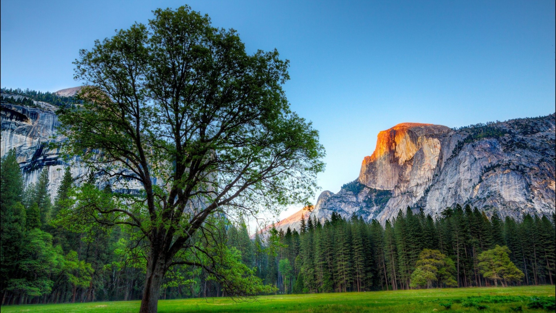 Yosemite National Park with Half Dome HD Wallpaper