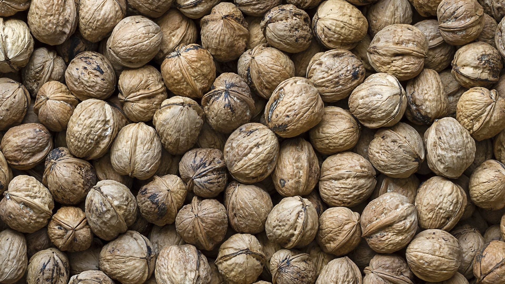 Pile of Walnuts HD Wallpaper
