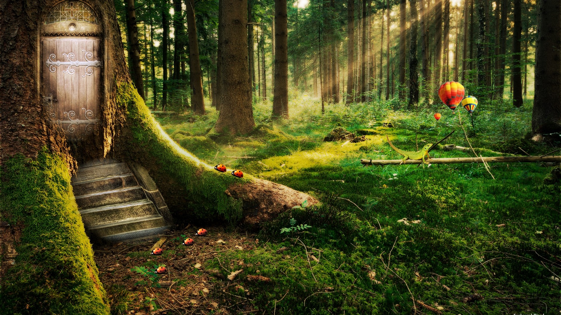 Fairy door in a mossy tree with hot air balloons HD Wallpaper