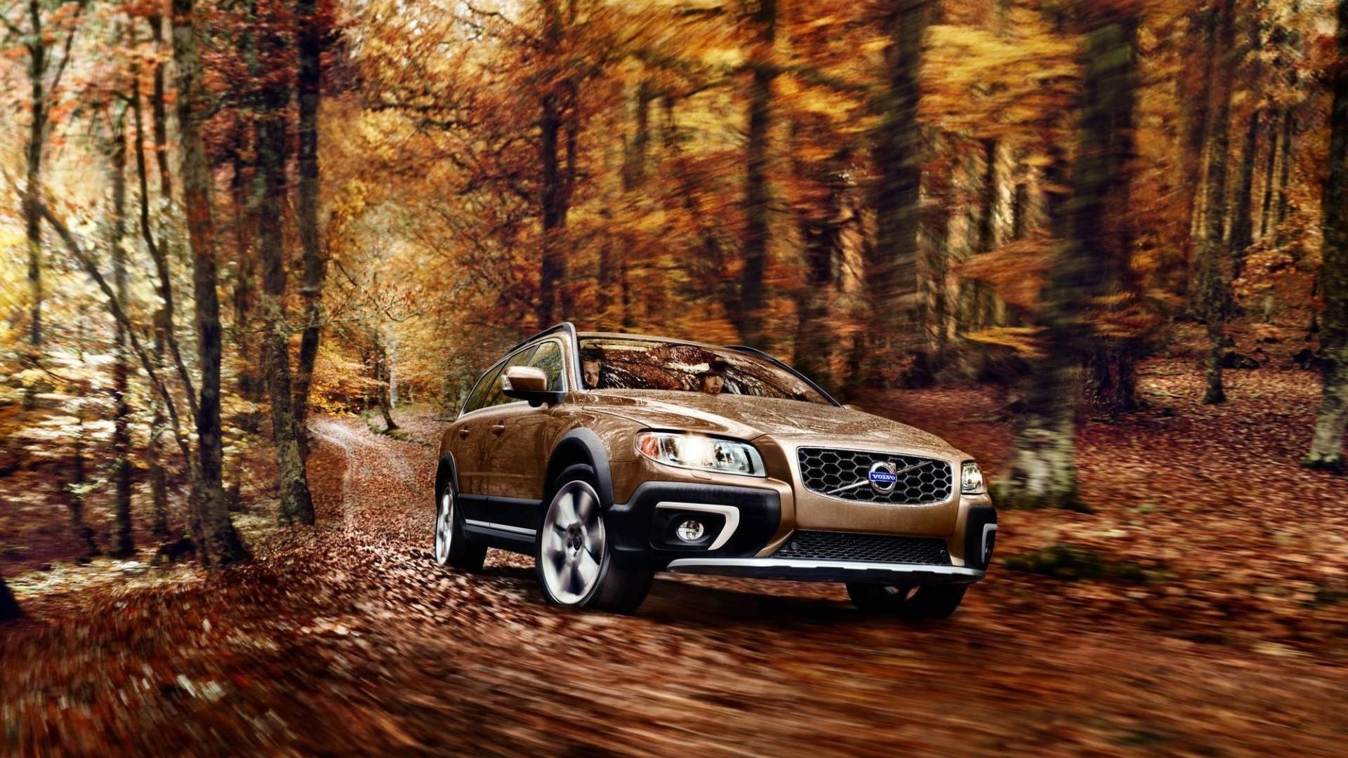 Brown Volvo XC70 driving on a forest road in autumn HD Wallpaper