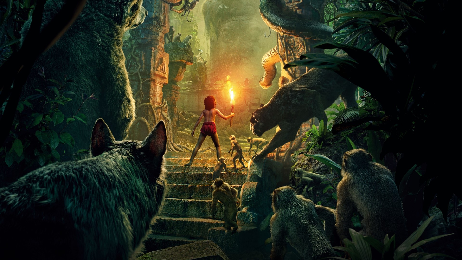 The Jungle Book 2016 HD Wallpaper