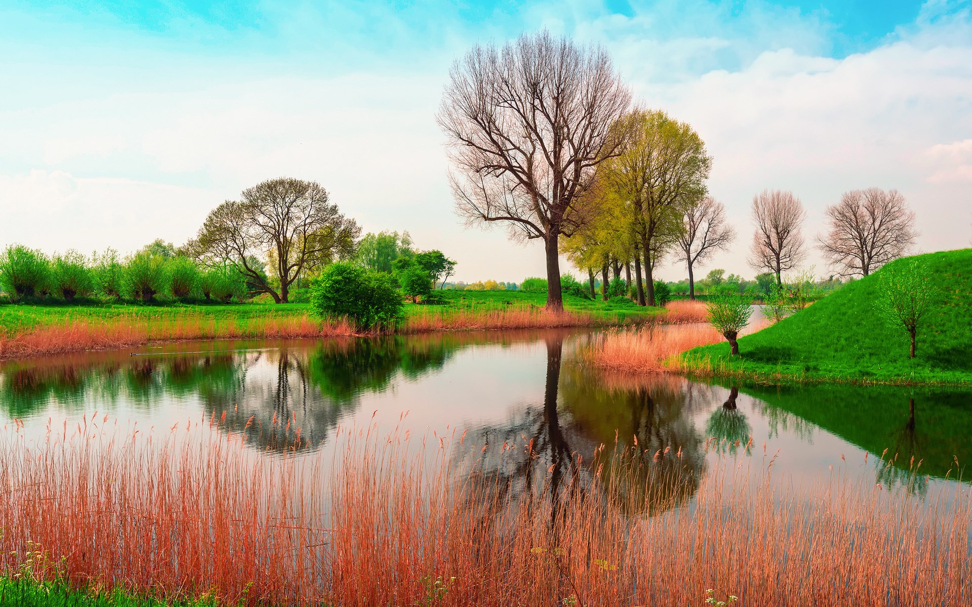 River with trees and reflections HD Wallpaper