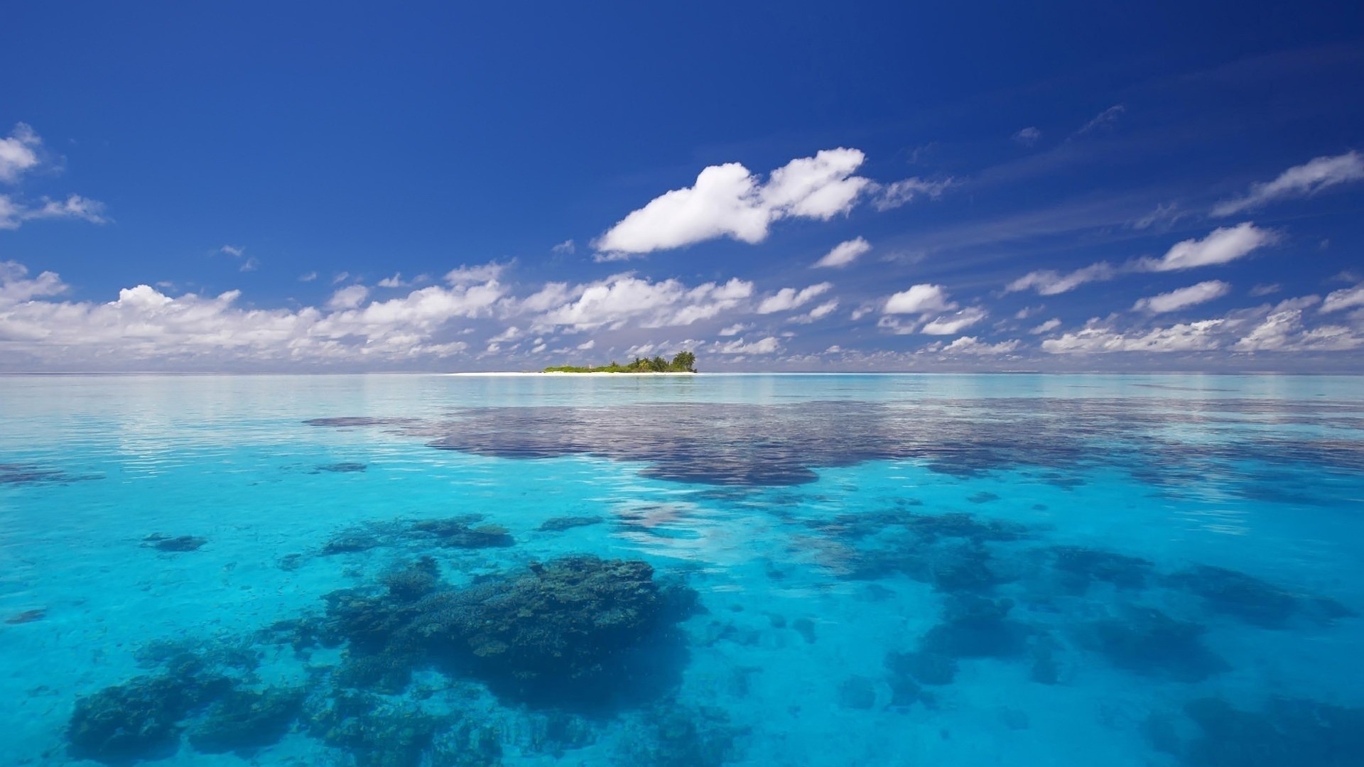 Tropical Island in a Clear Blue Ocean HD Wallpaper