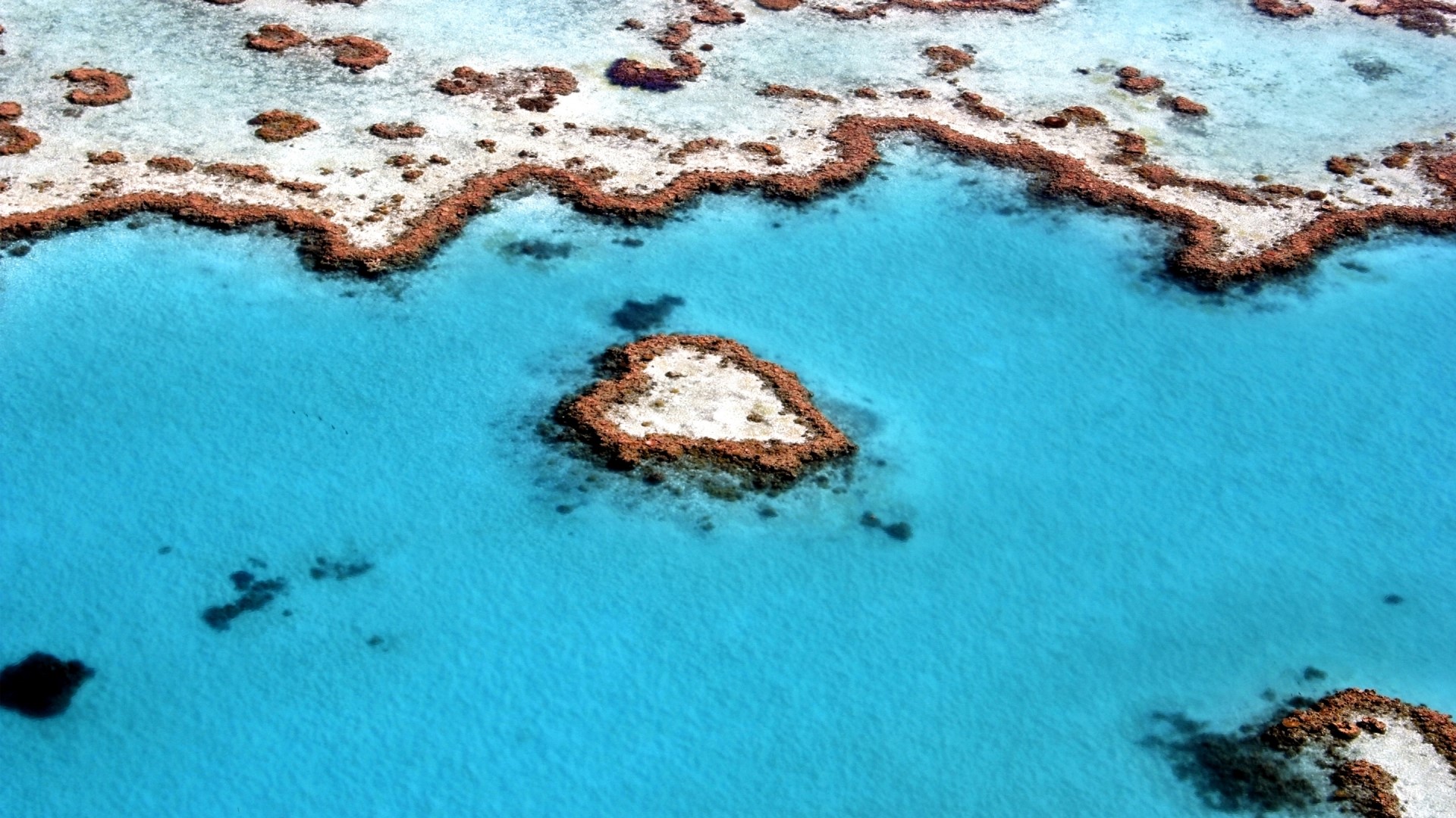 Heart Reef, Great Barrier Reef HD Wallpaper