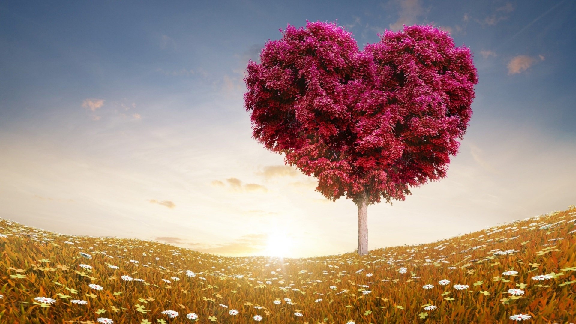 Heart-shaped tree in a field of flowers HD Wallpaper