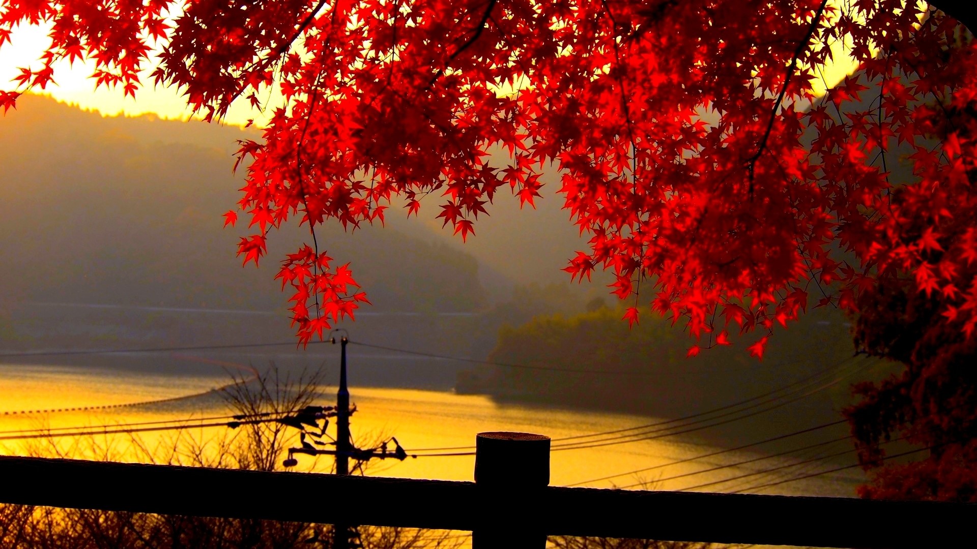 Autumn leaves over a lake at sunset HD Wallpaper