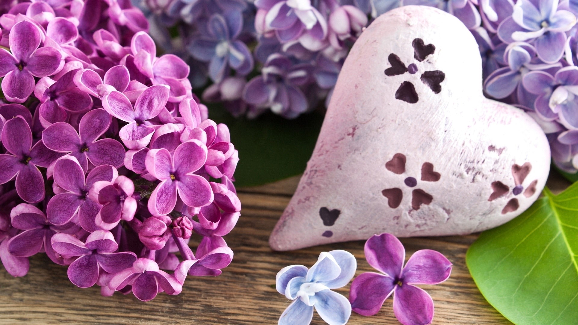 Purple Lilac Flowers and Heart Decoration HD Wallpaper