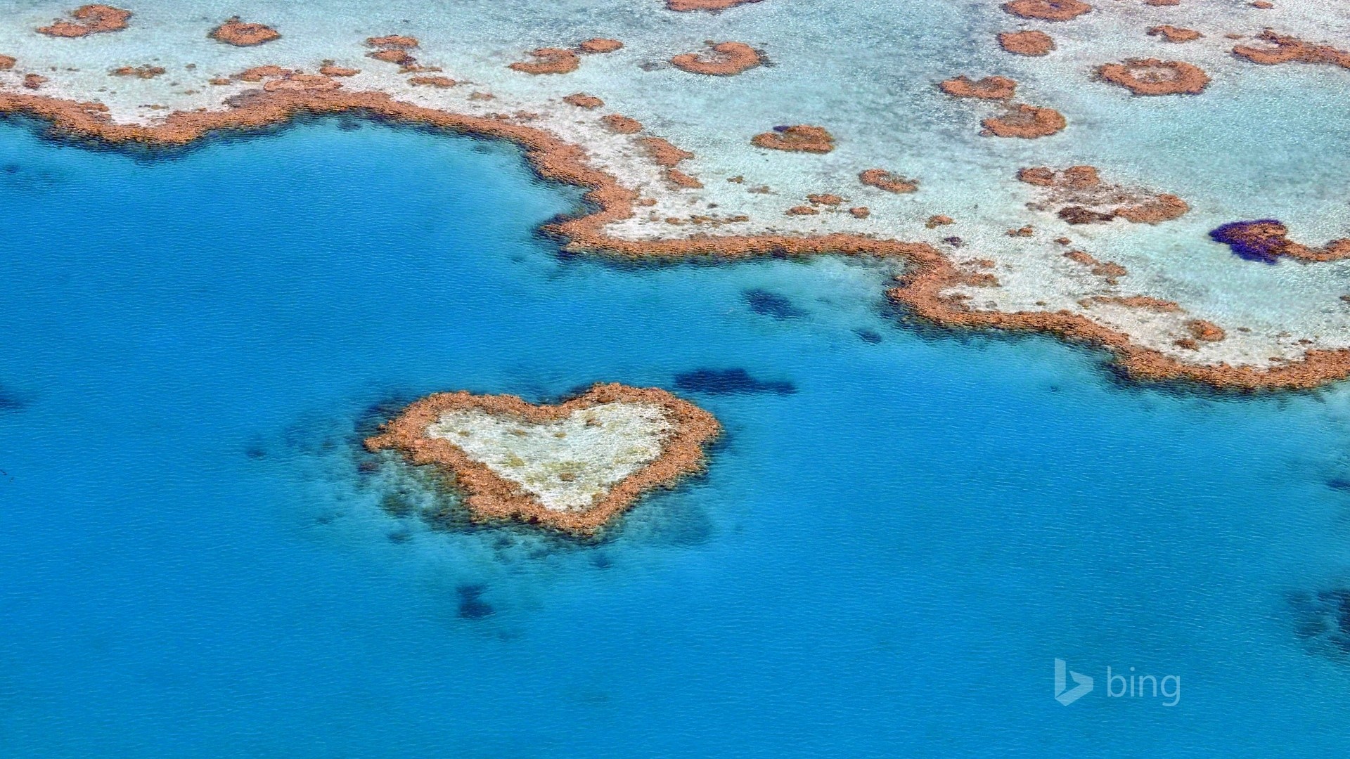 Heart Reef Great Barrier Reef aerial view HD Wallpaper