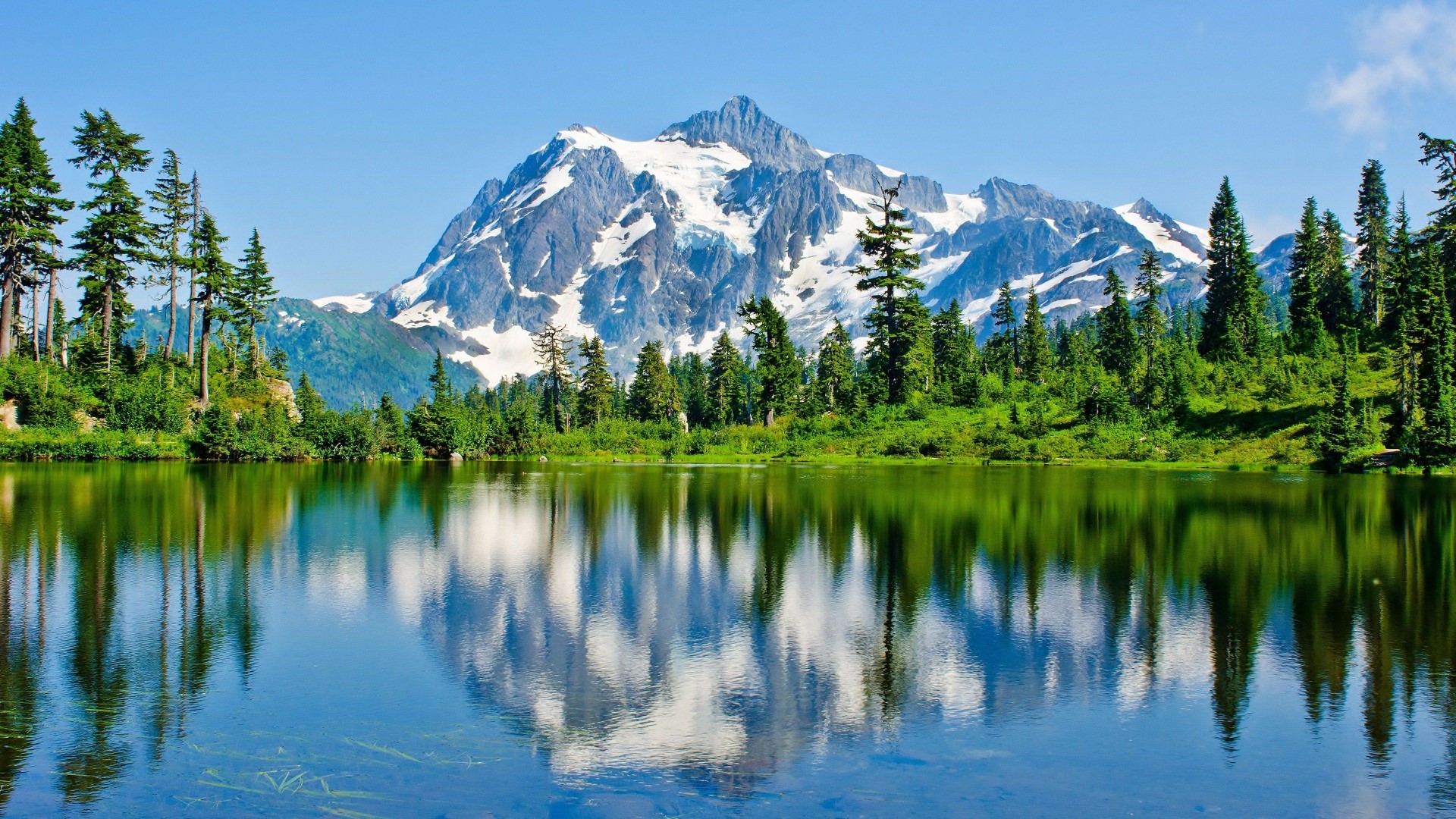 Mount Baker Forest Lake Reflection HD Wallpaper