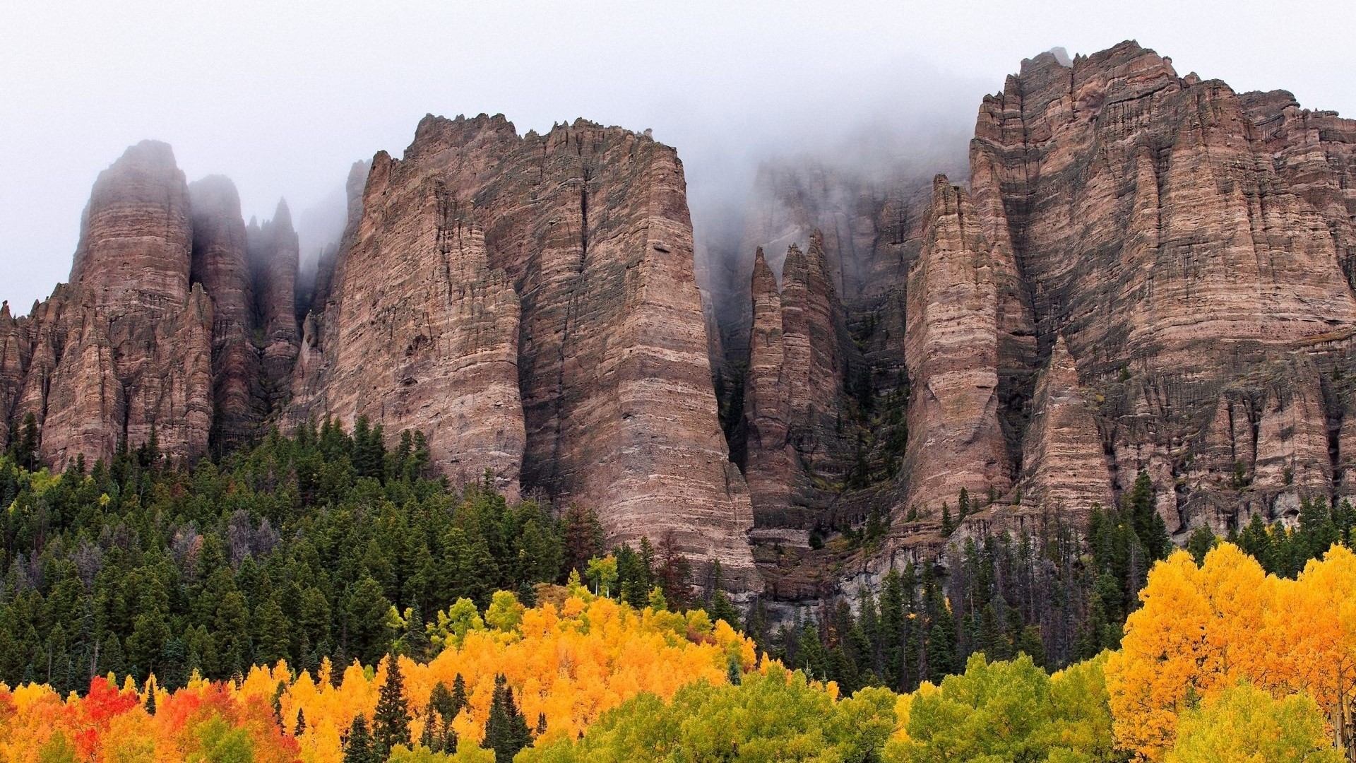Autumn Forest and Rocky Mountains with Fog HD Wallpaper