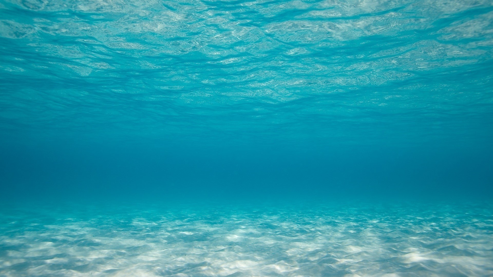 Underwater view of the ocean floor HD Wallpaper