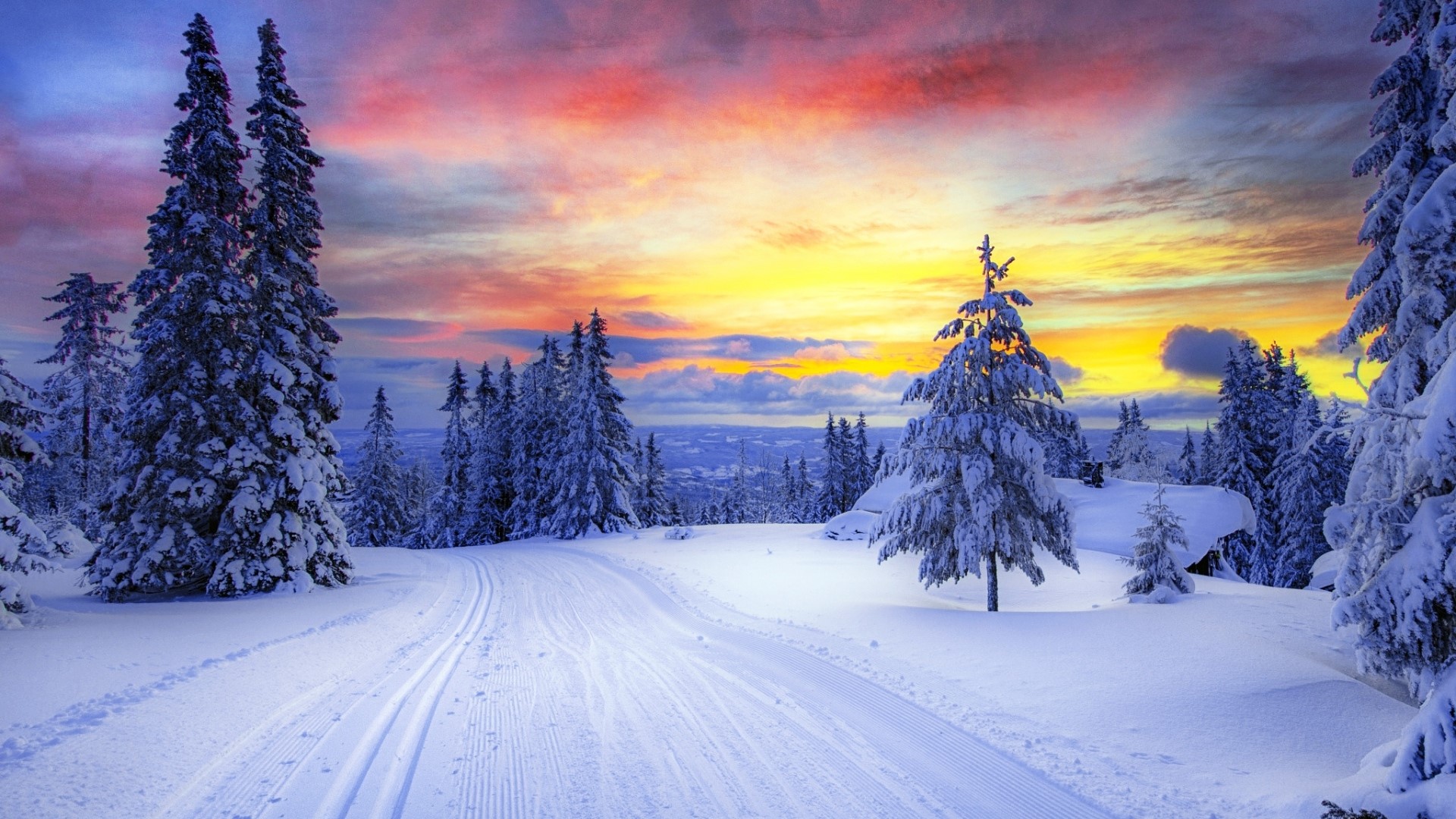 Winter Sunset Over Snowy Forest in Norway HD Wallpaper